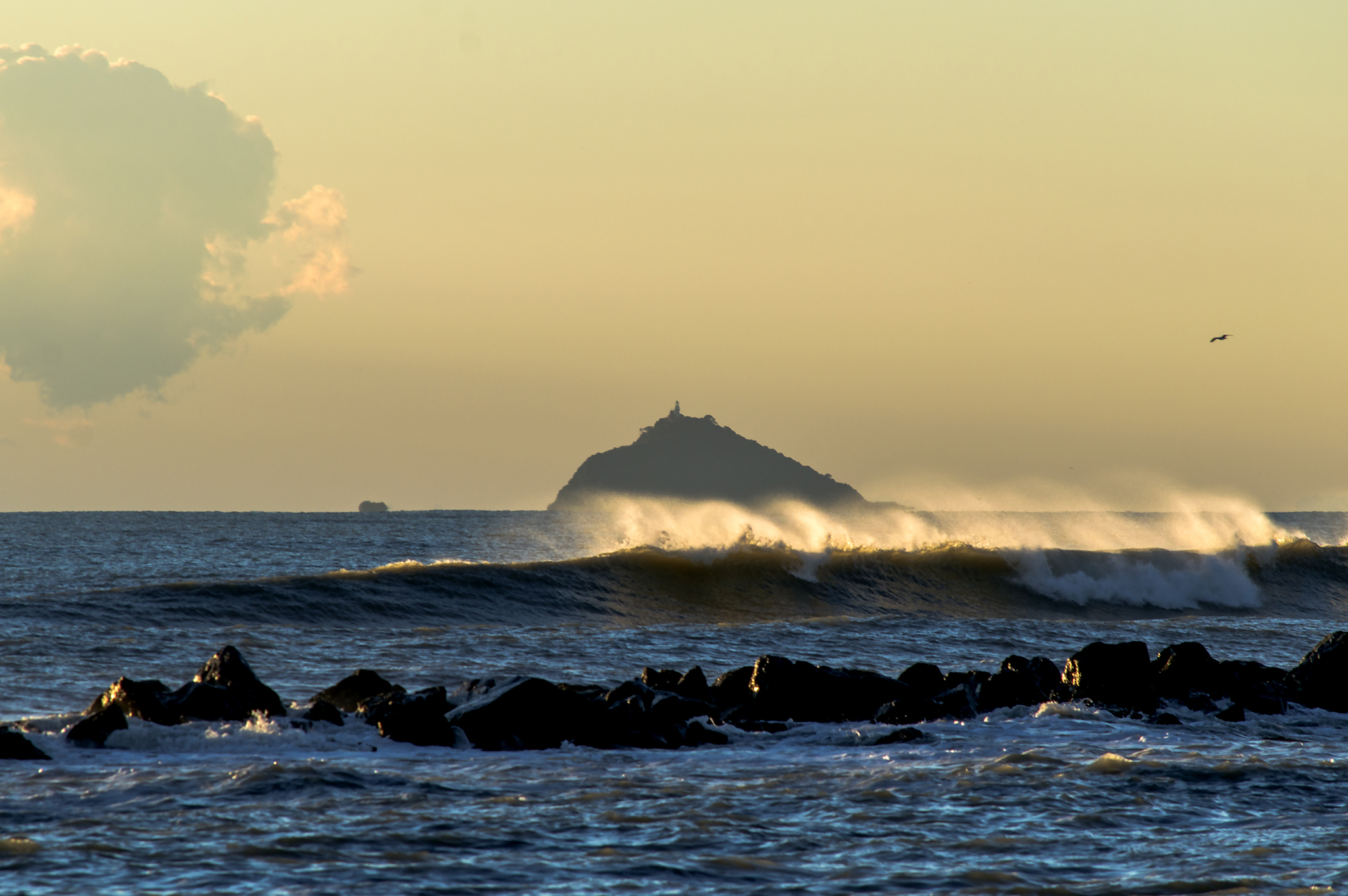 Il Tino da Marina di Massa
