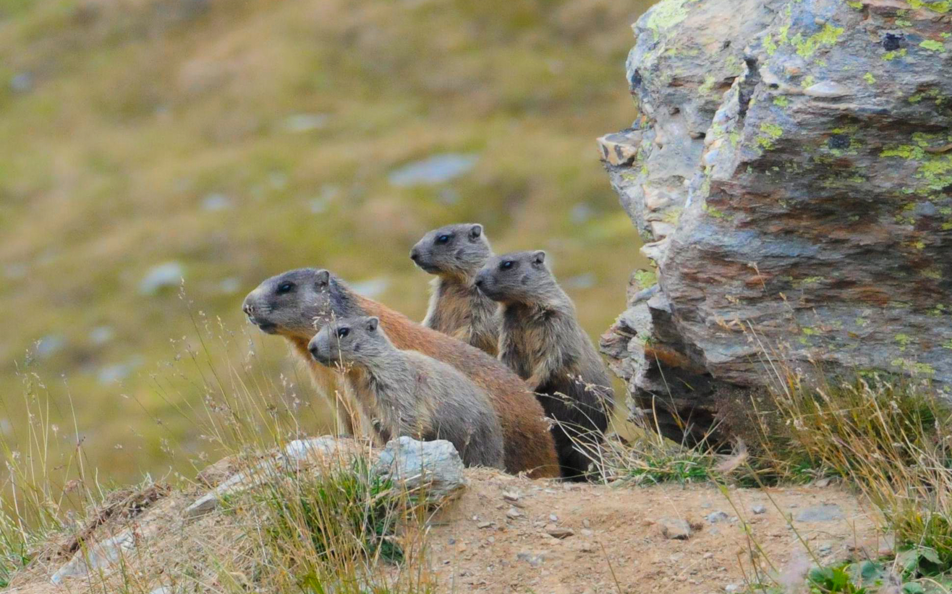 Ragazzi, tutti in posa...