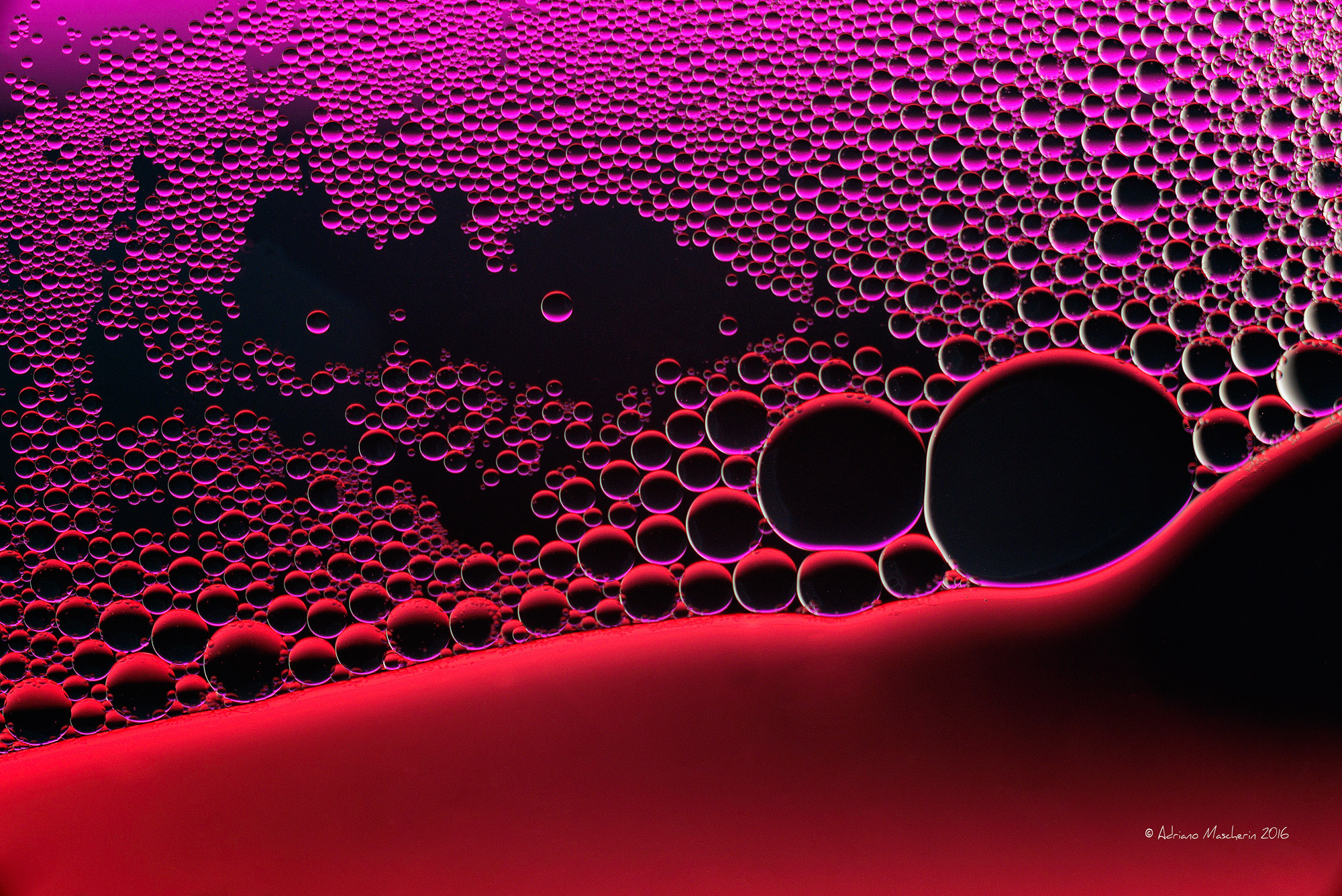 Il mondo delle bolle...