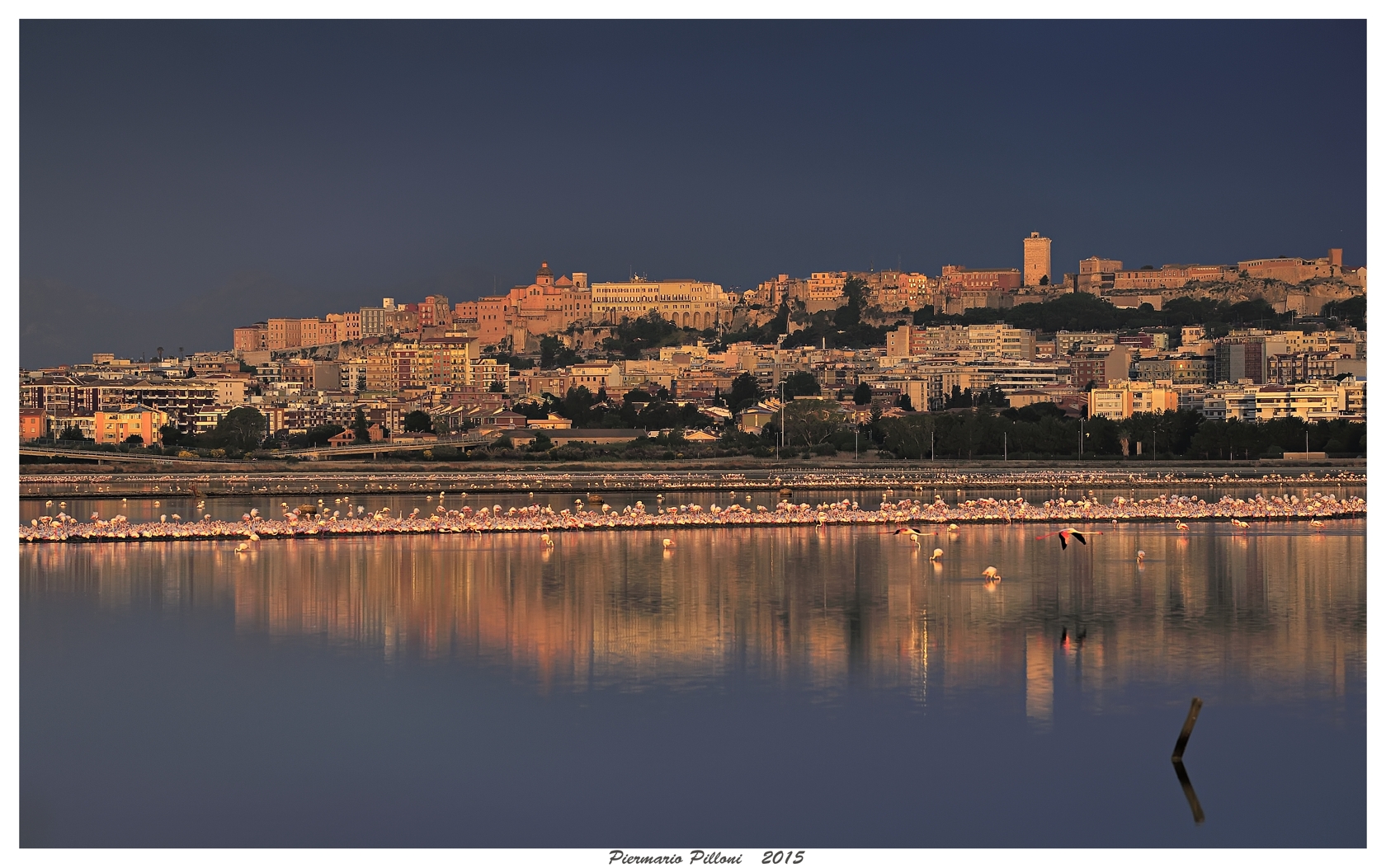 Cagliari all'alba da Molentargius