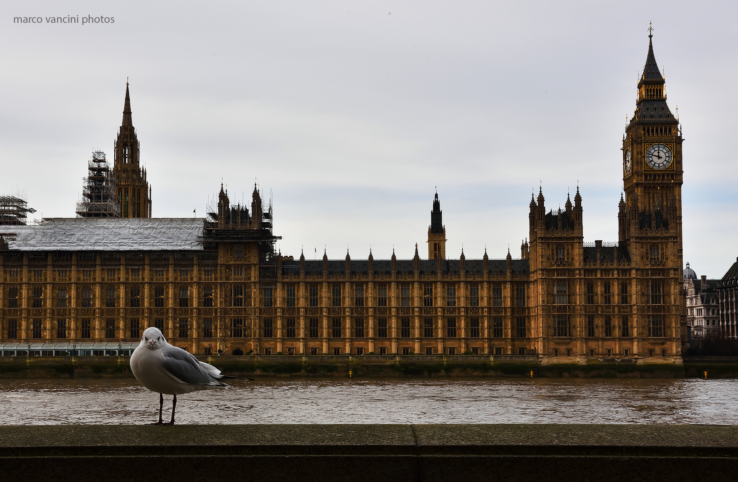 the guardian of the palace of westminster