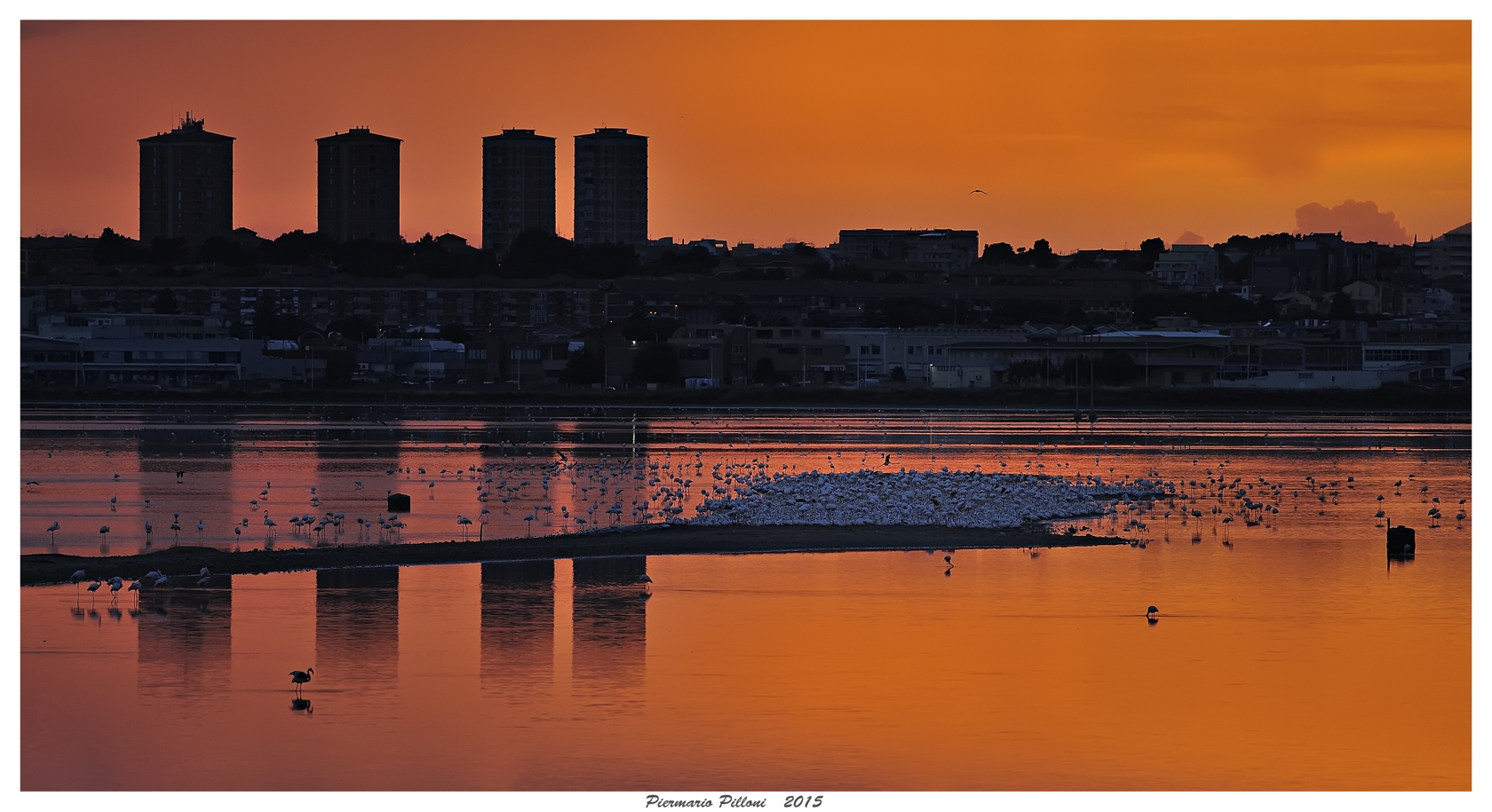 Tramonto a Molentargius