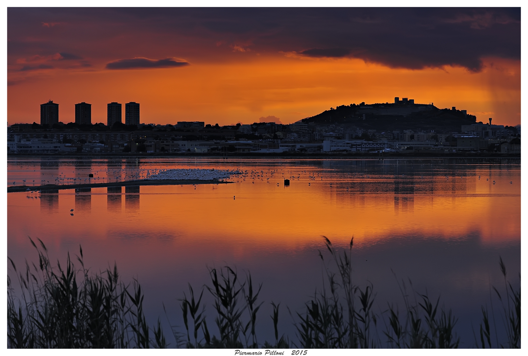 Tramonto a Molentargius