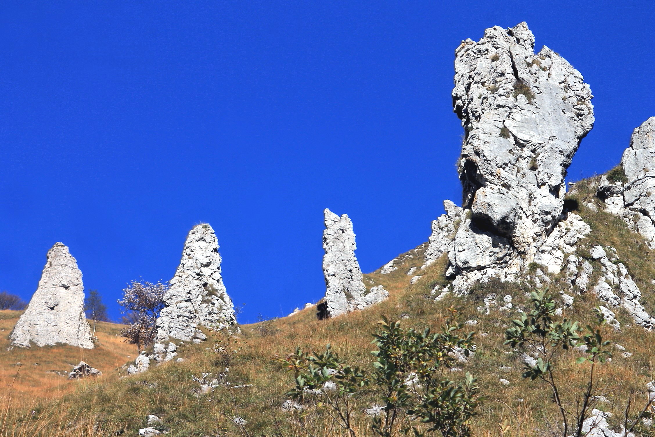 Pinnaccoli della Grignetta