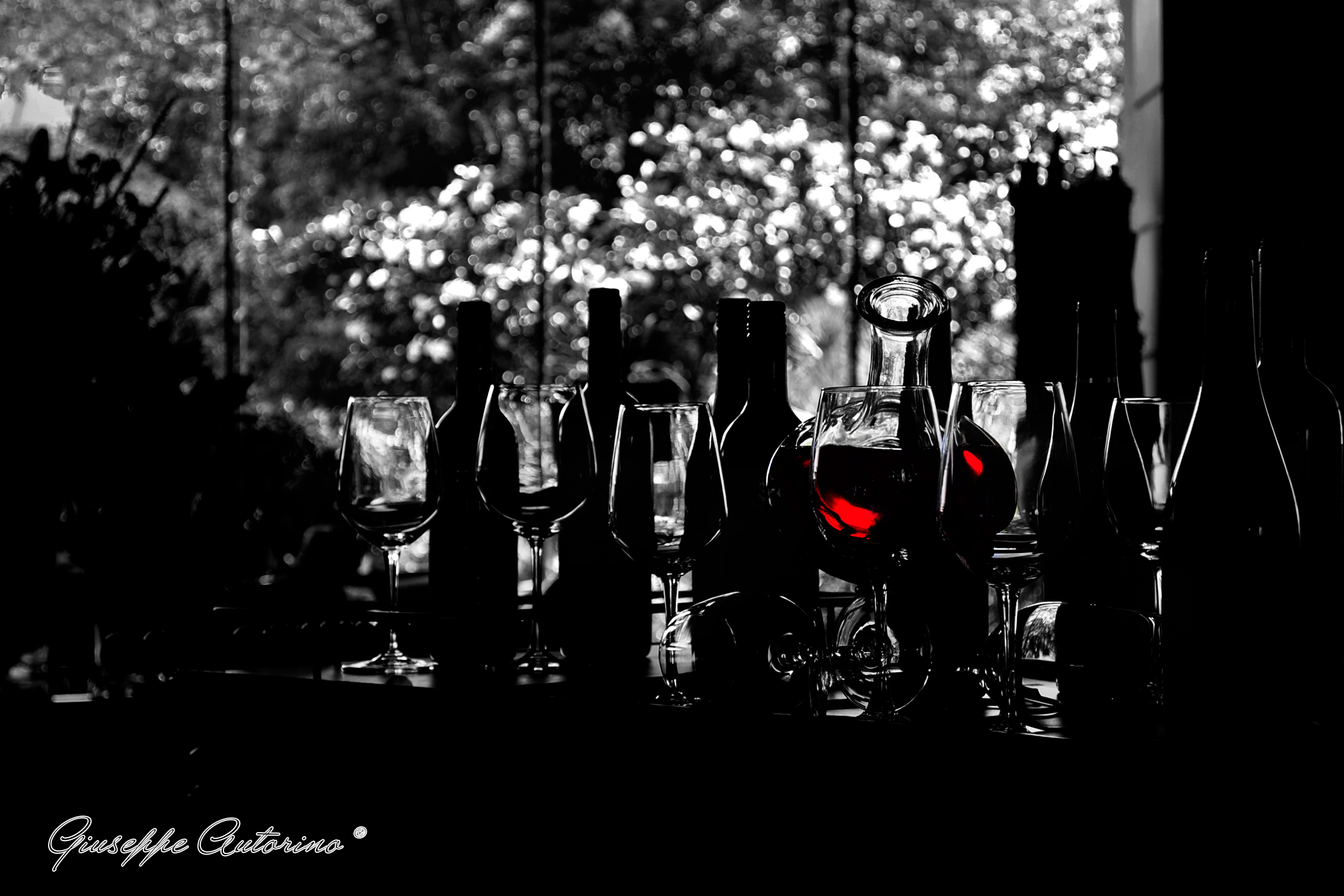 transparencies Intoxicating