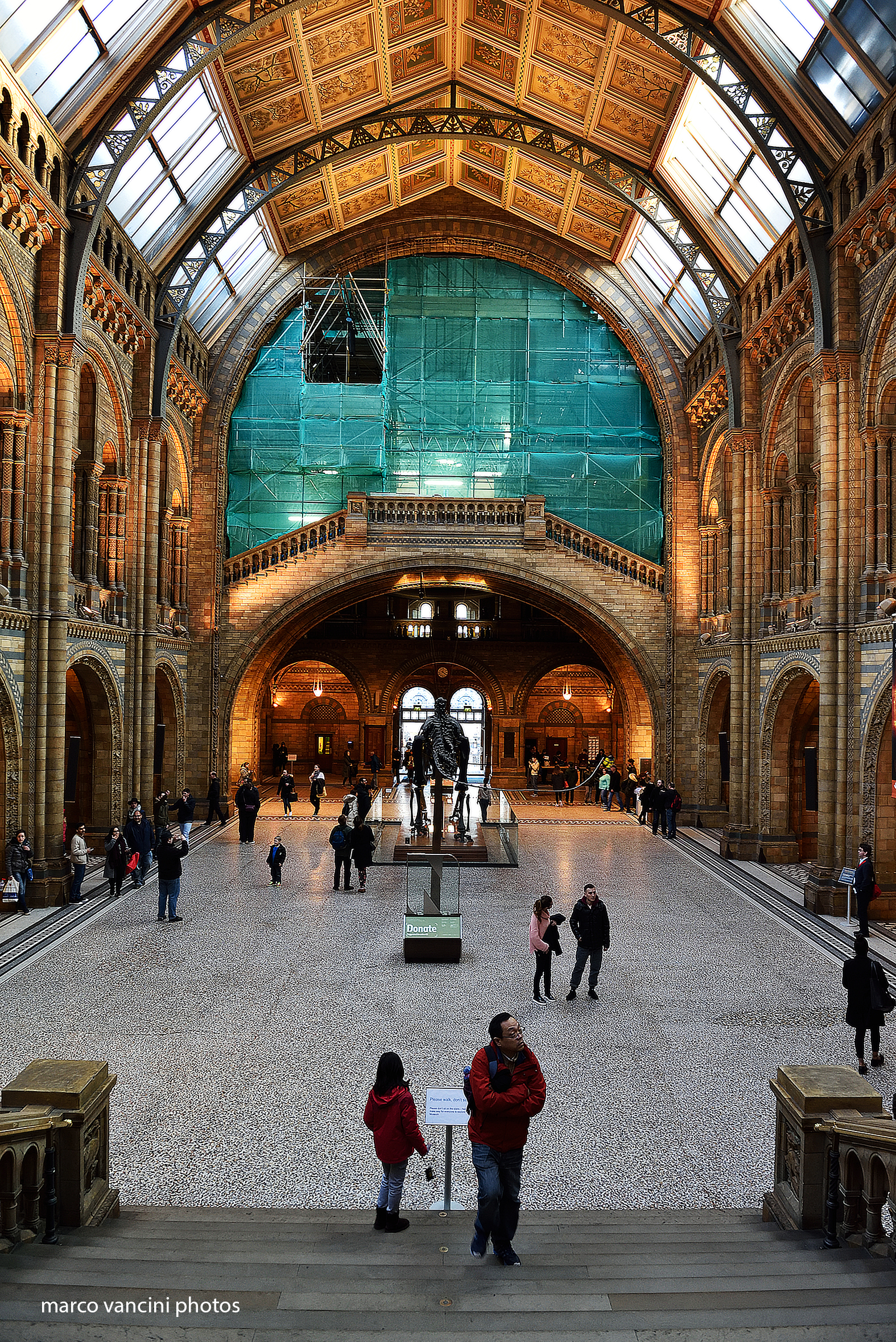 natural history museum