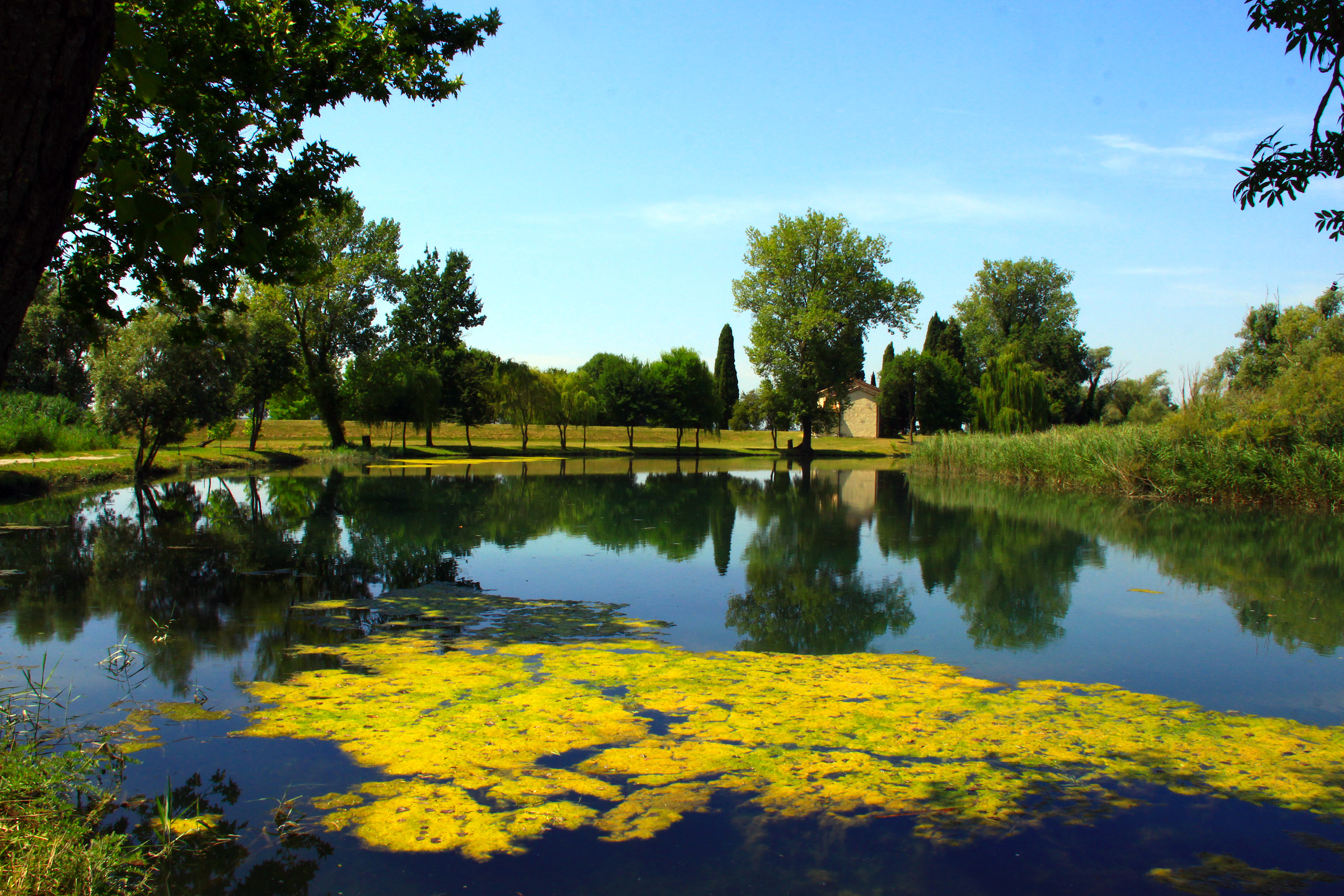 Scorcio sullo Stella