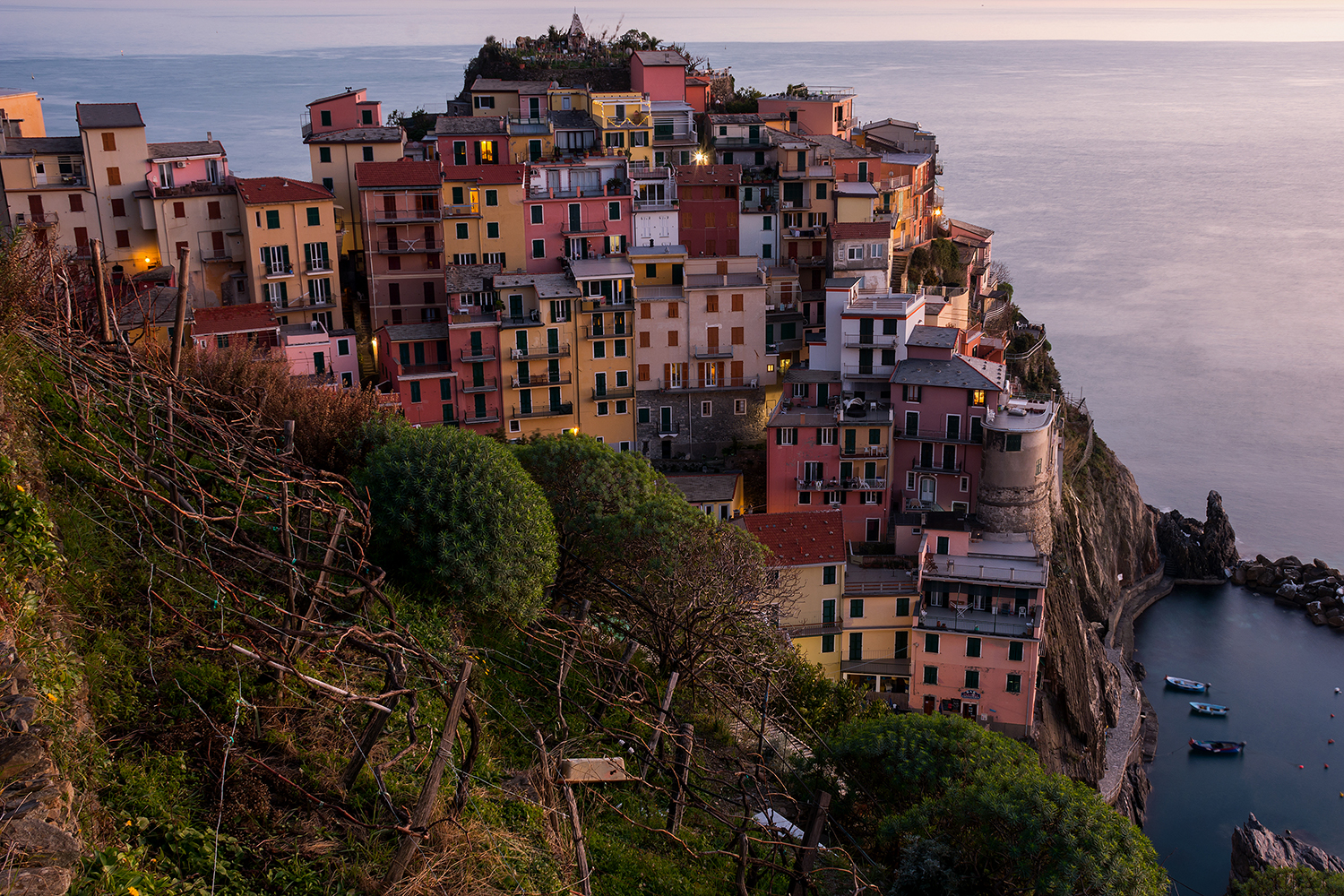 The euphorbias of Manarola