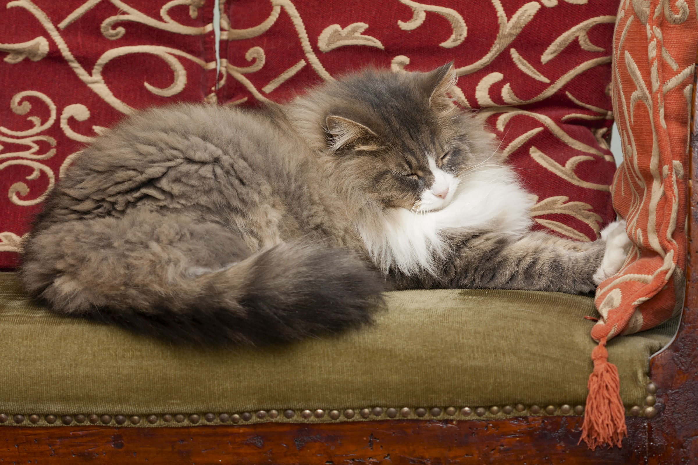 Dormire tra tre cuscini