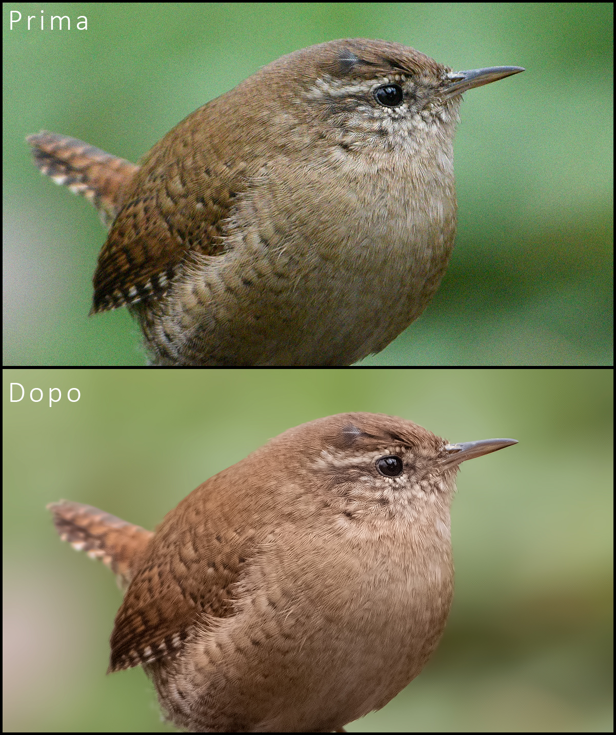 Nikon d810 to 8000 ISO