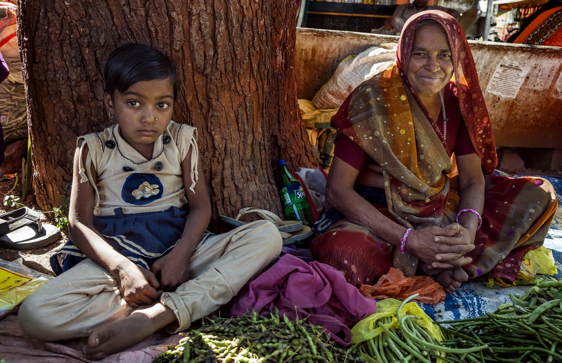 Gujarat 2015 - In un mercato