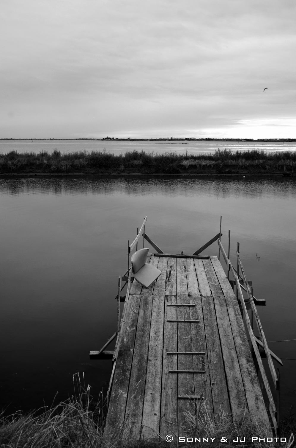 Verso il Delta del PO