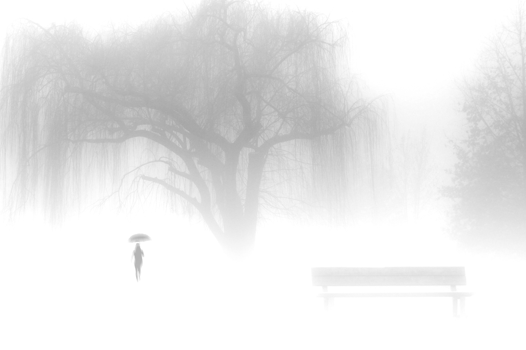 fantasmi nella nebbia