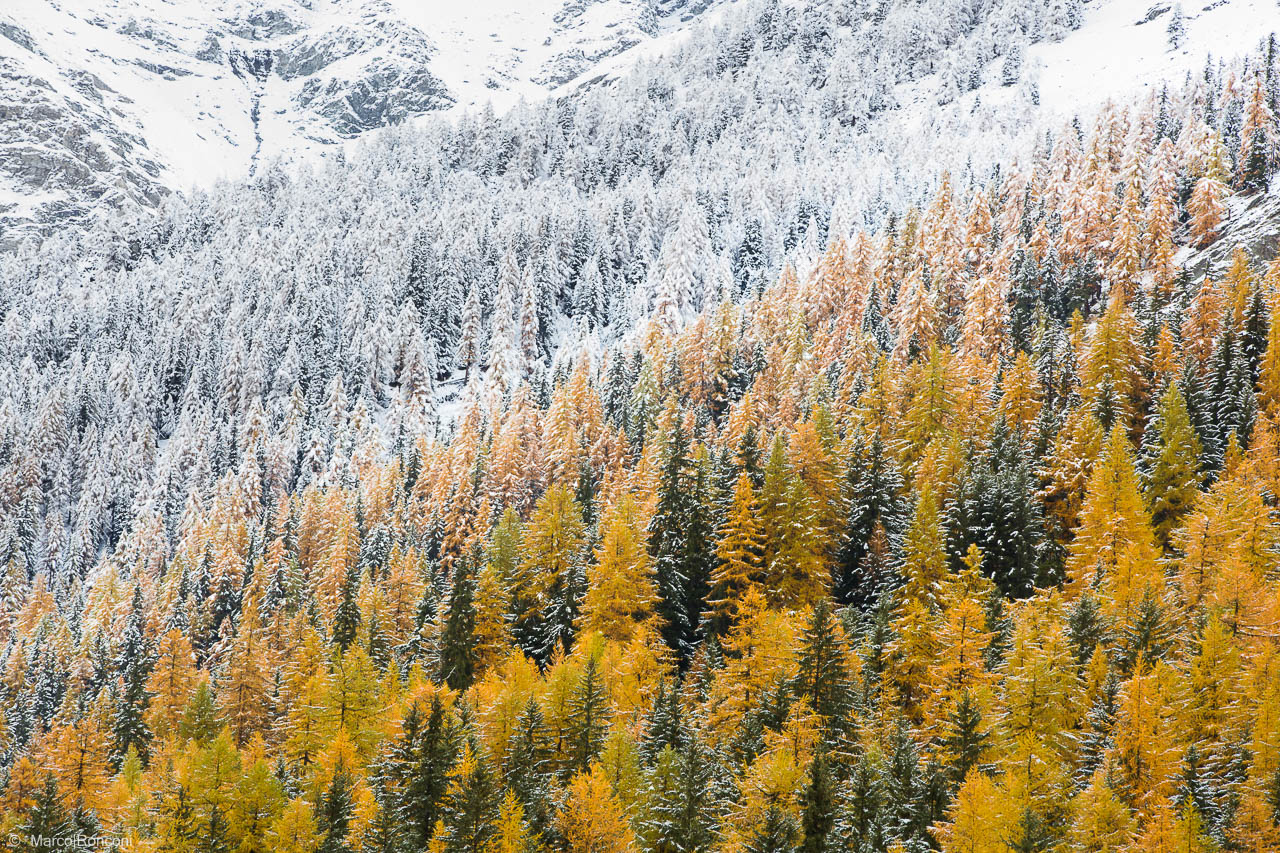 The change of seasons