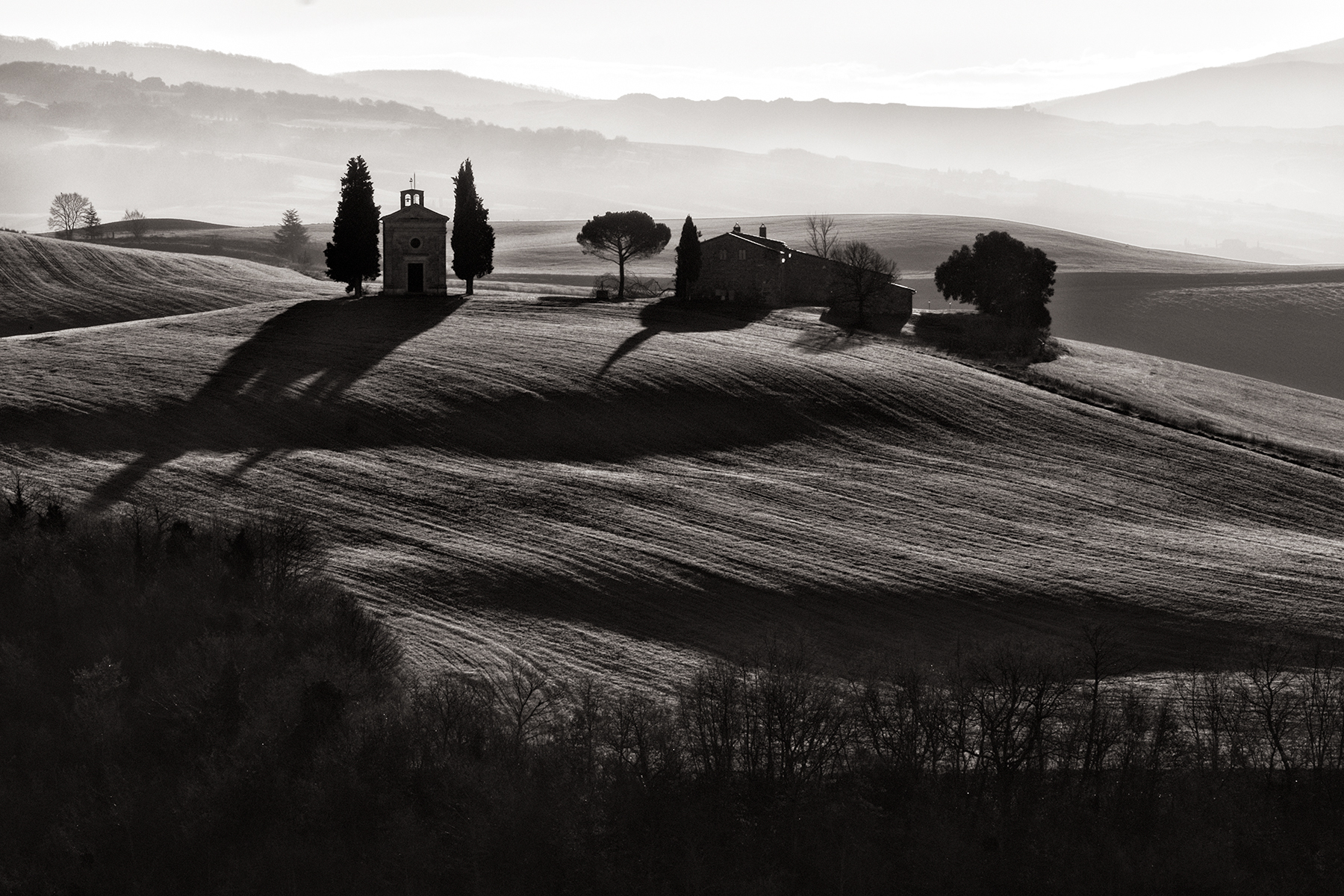 Vitality at first light