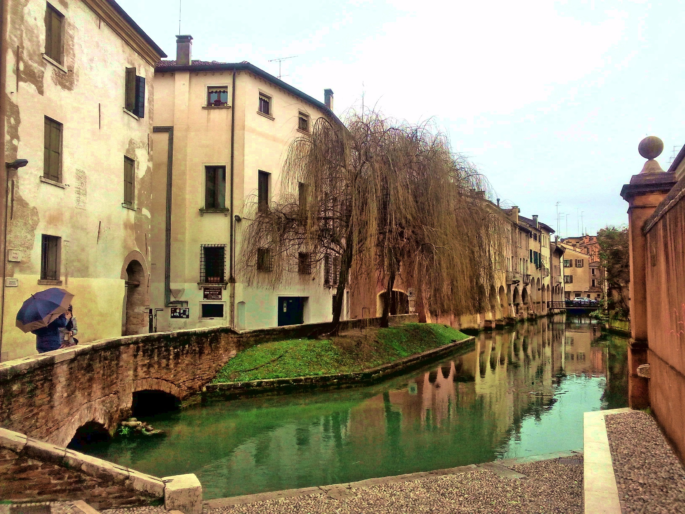 Treviso