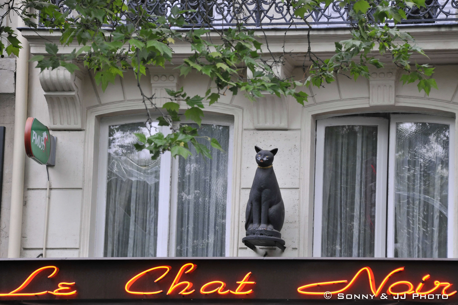 Le chat noir