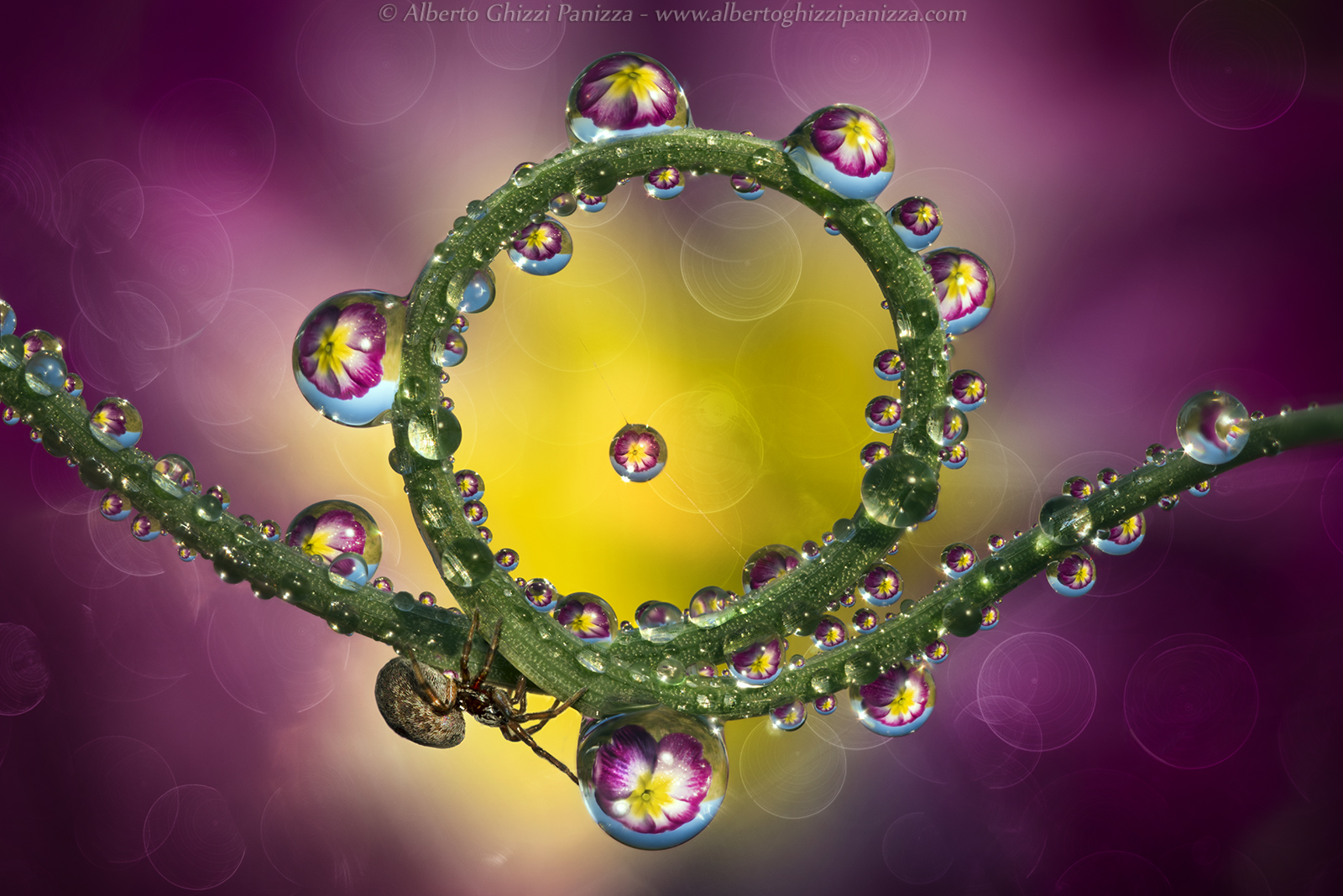 This drop put it here!