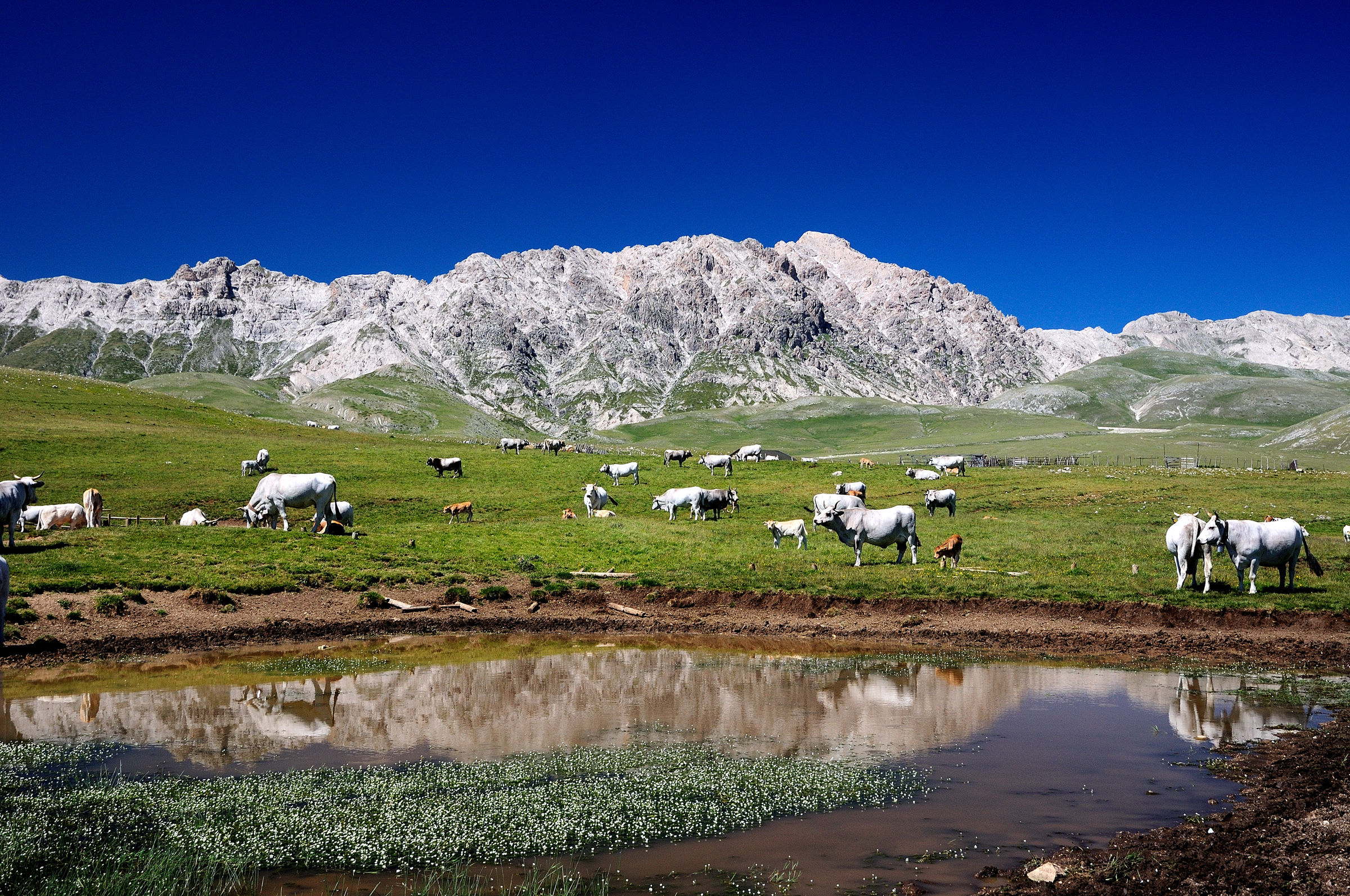 campo imperatore