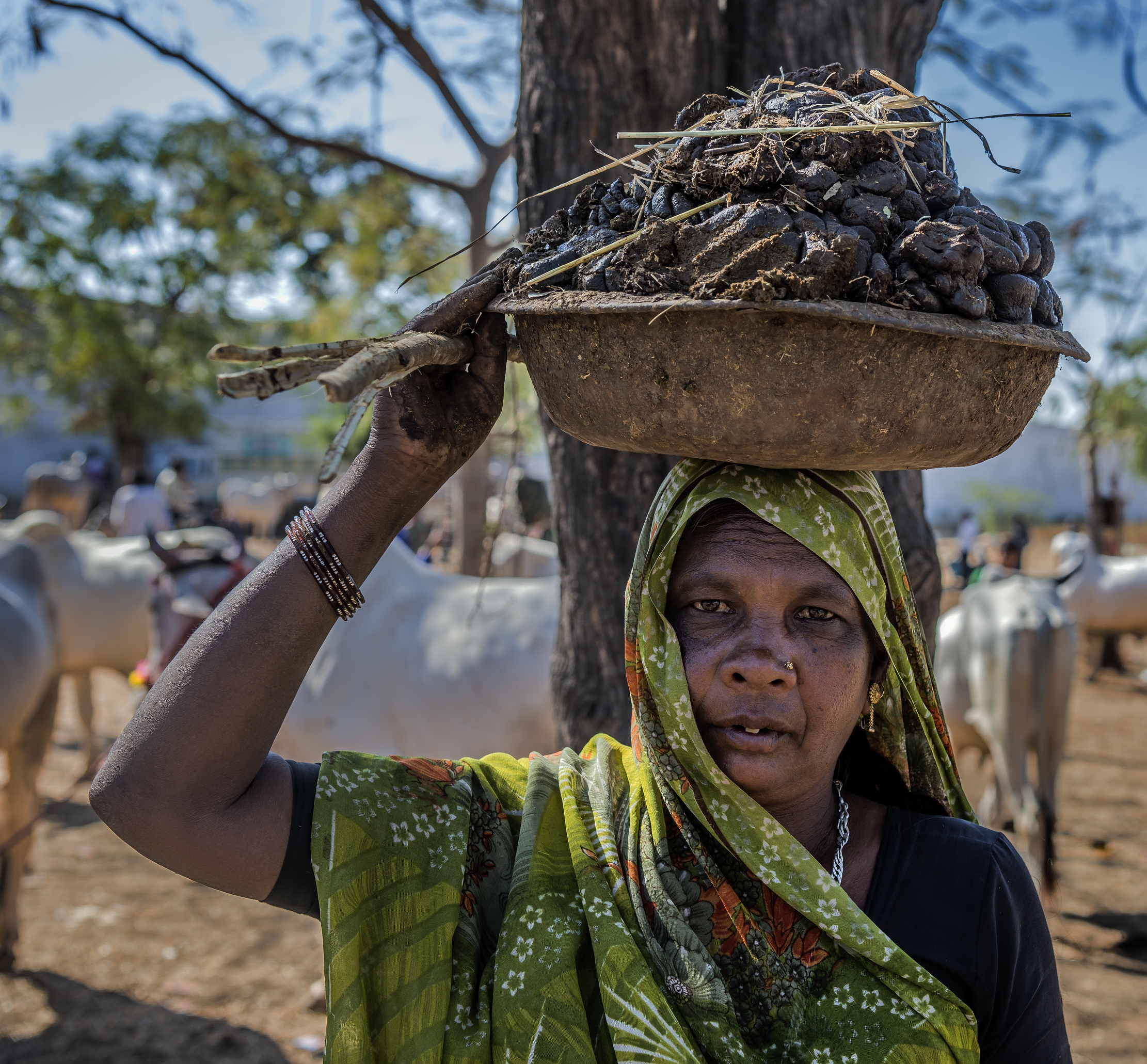 Gujarat 2015 - In un Mercato