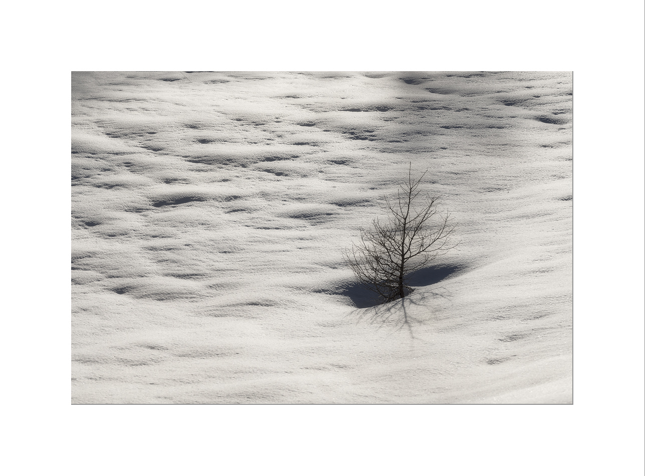 crescerai,imparerai..