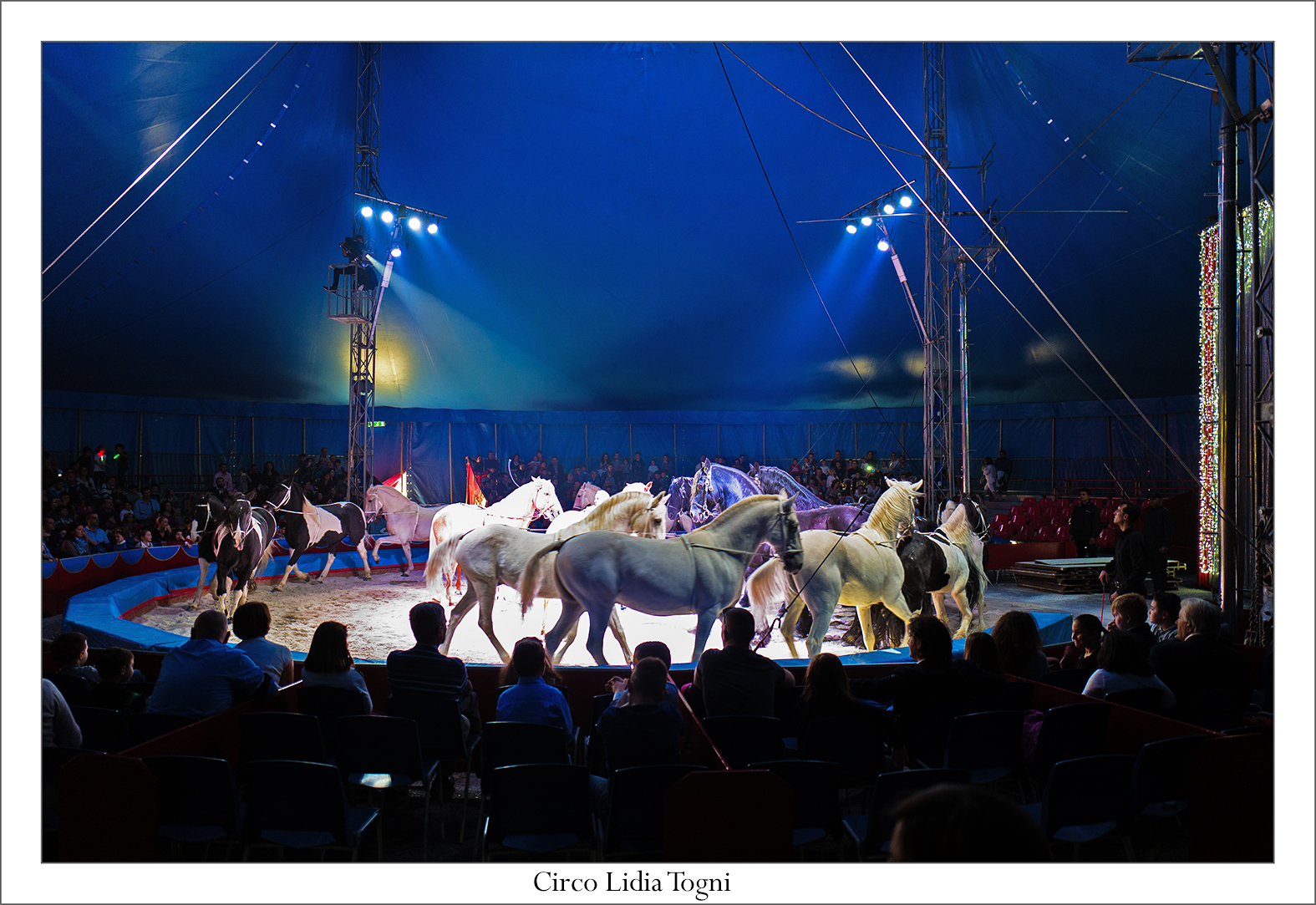 Circus