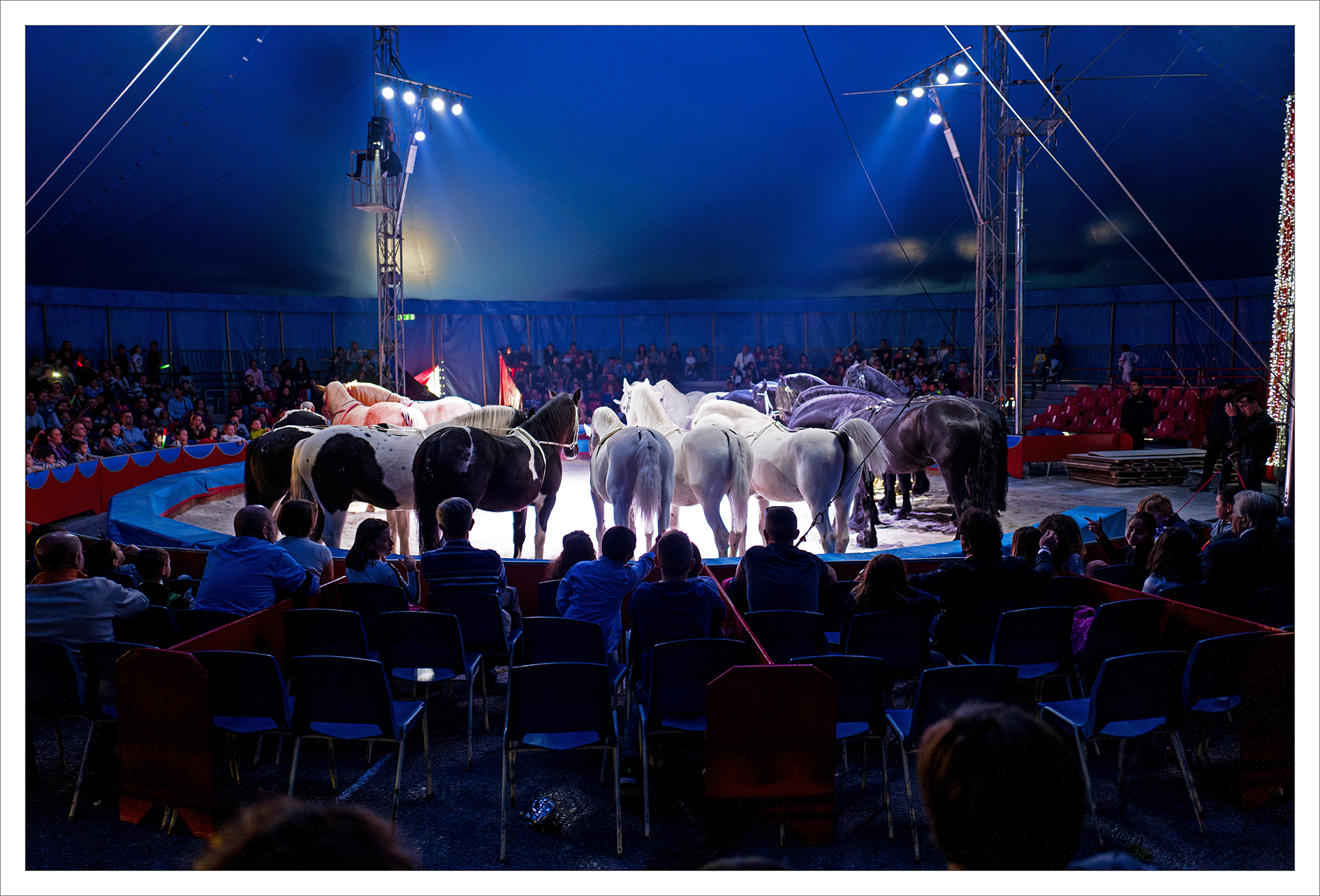 Circus