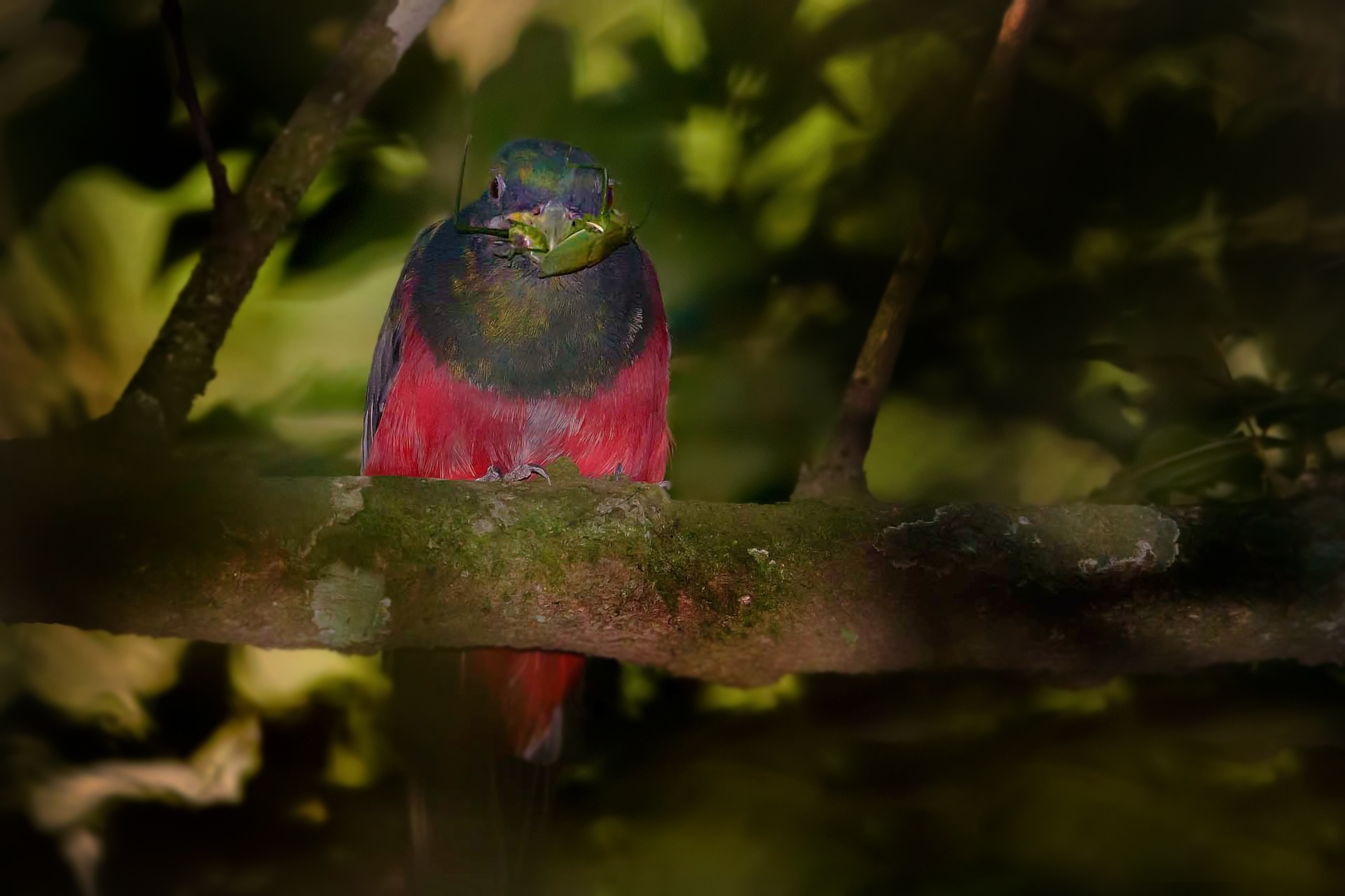 beautiful and impossible....