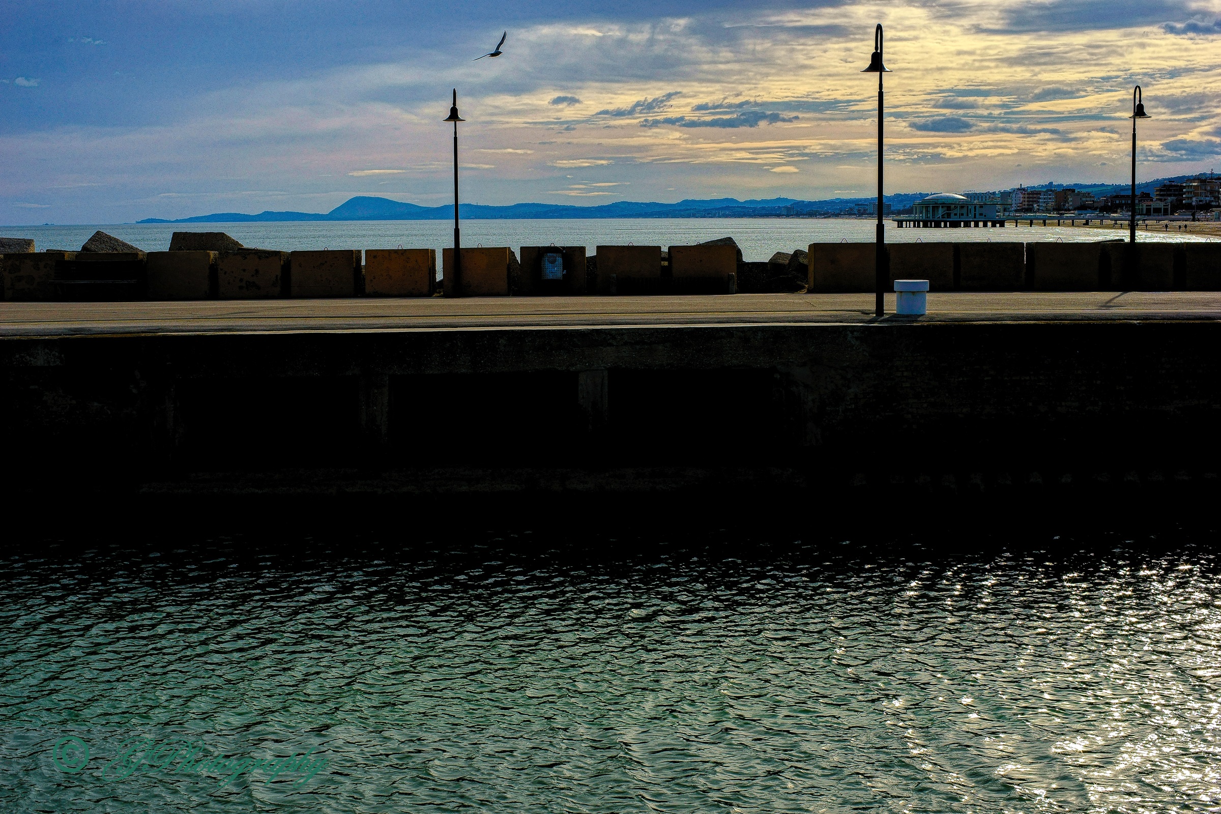 Il Volo del Gabbiano