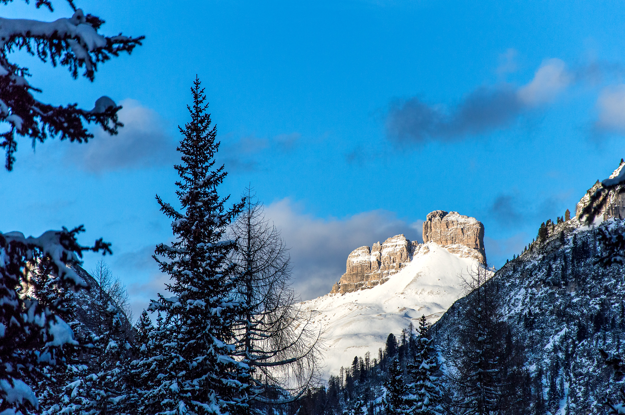 Torre degli scarperi