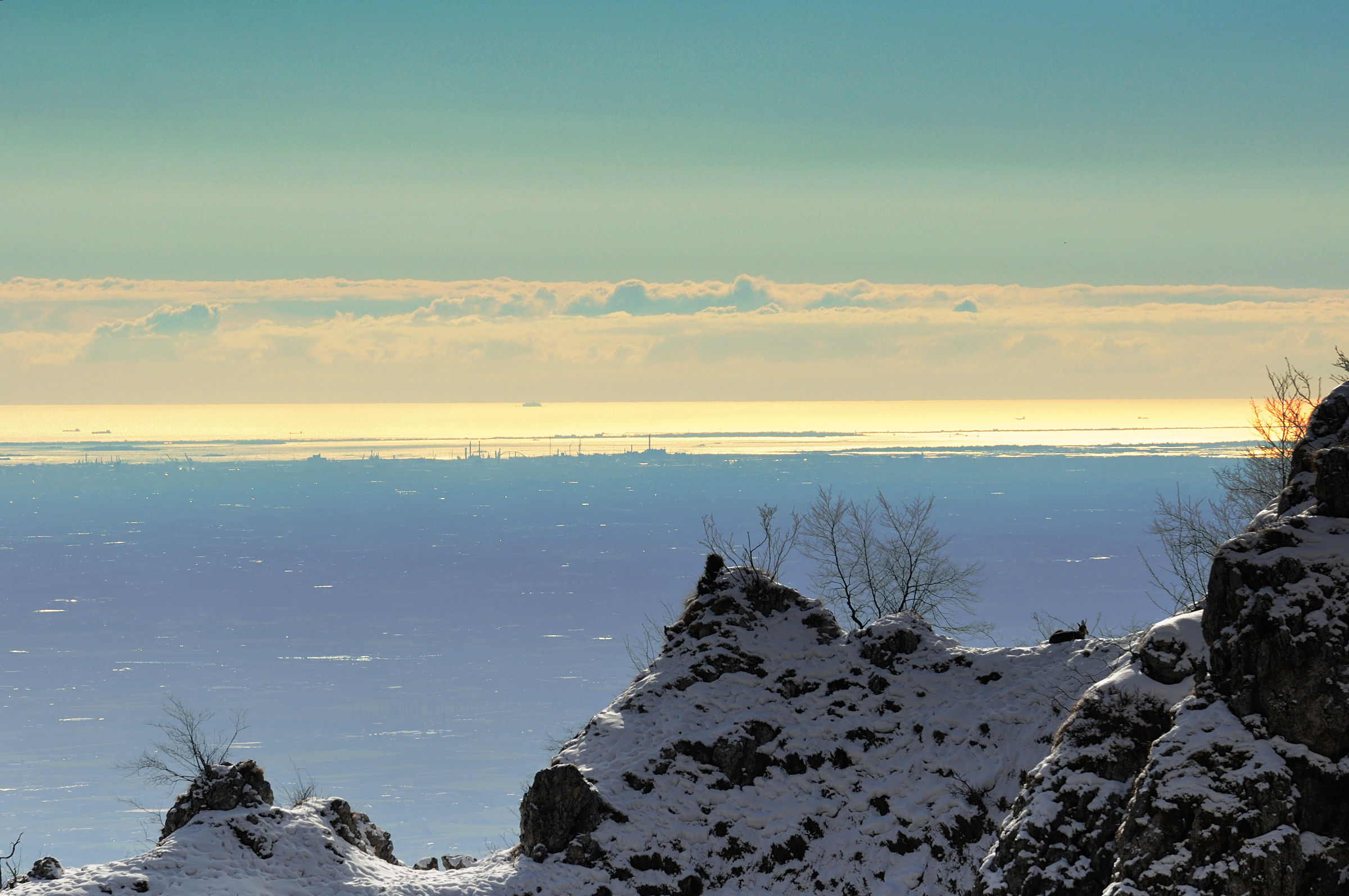 The chamois and the sea