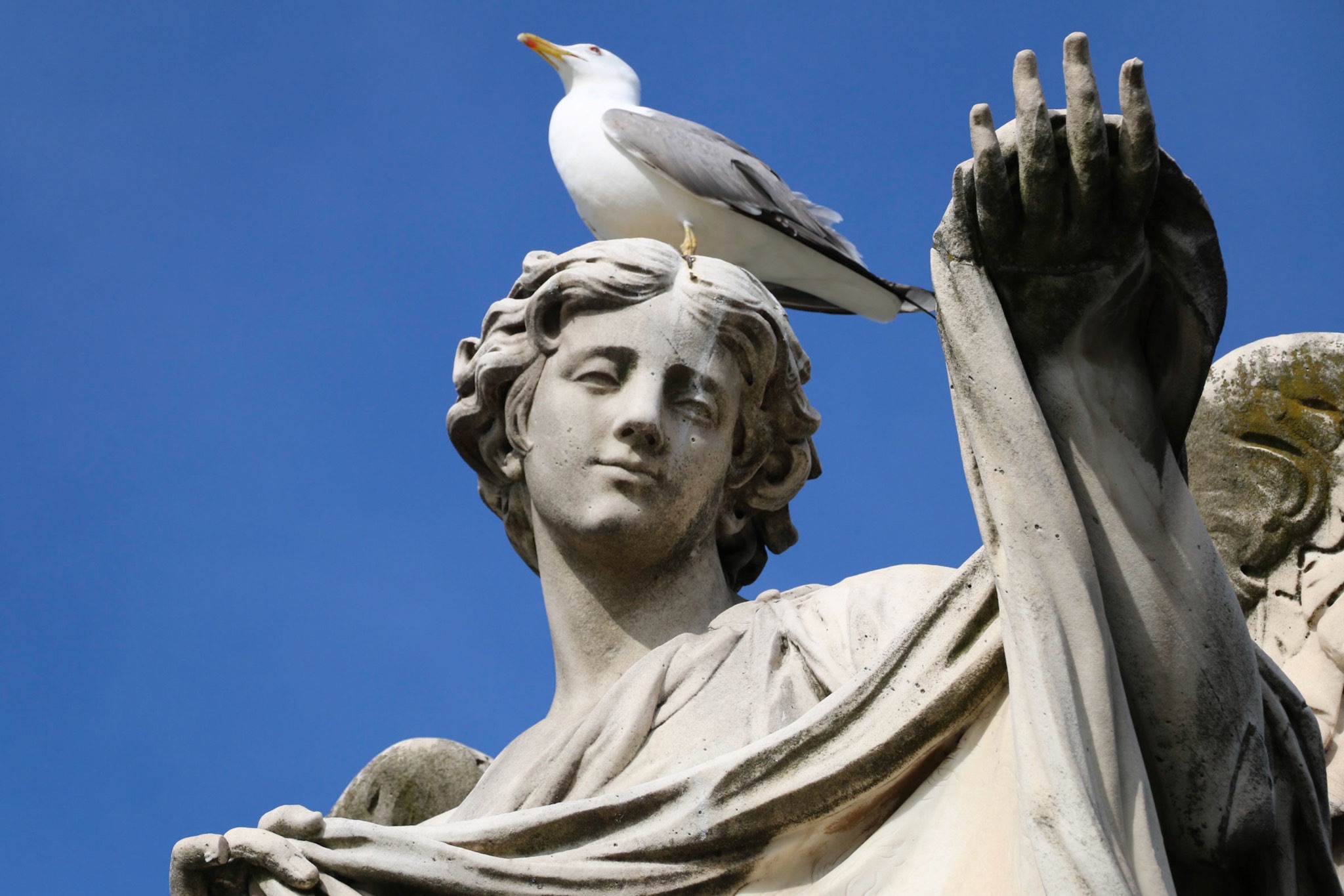 Not everyone appreciates art