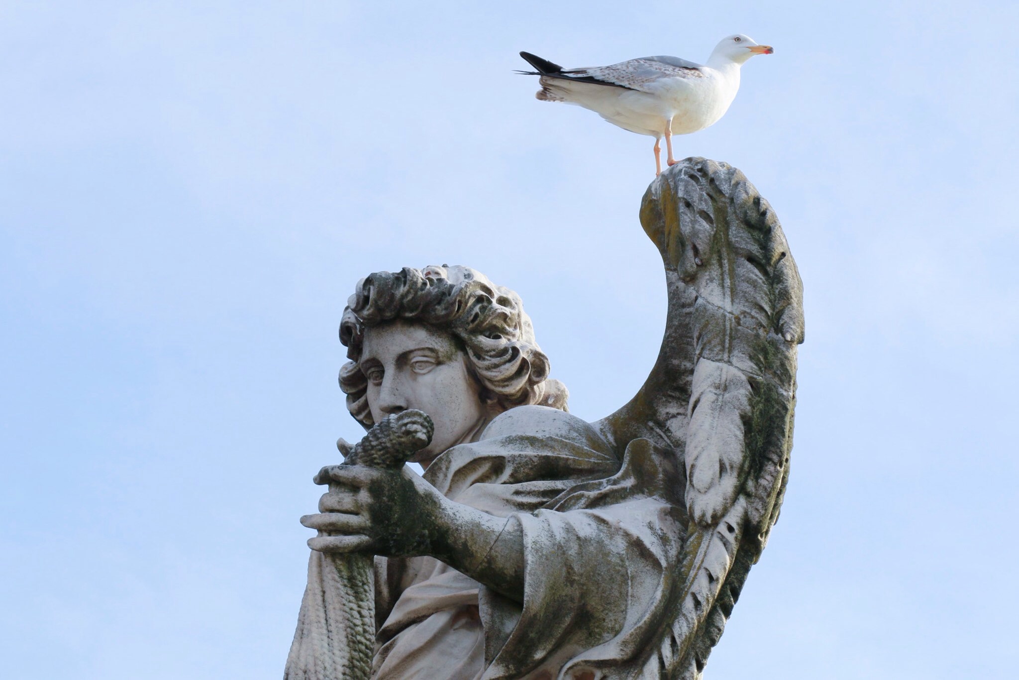 Another point of view