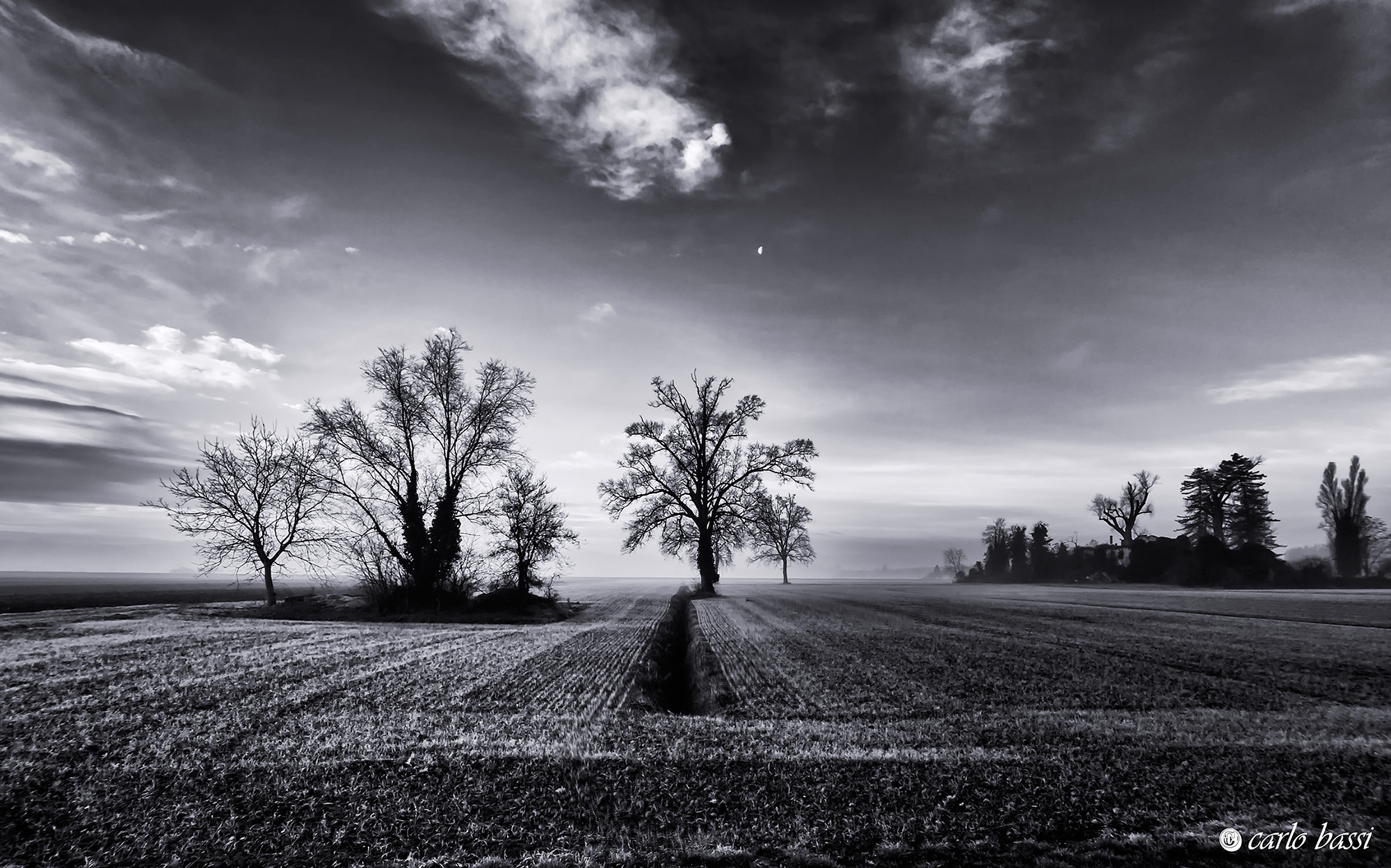 Dipianura geometries.