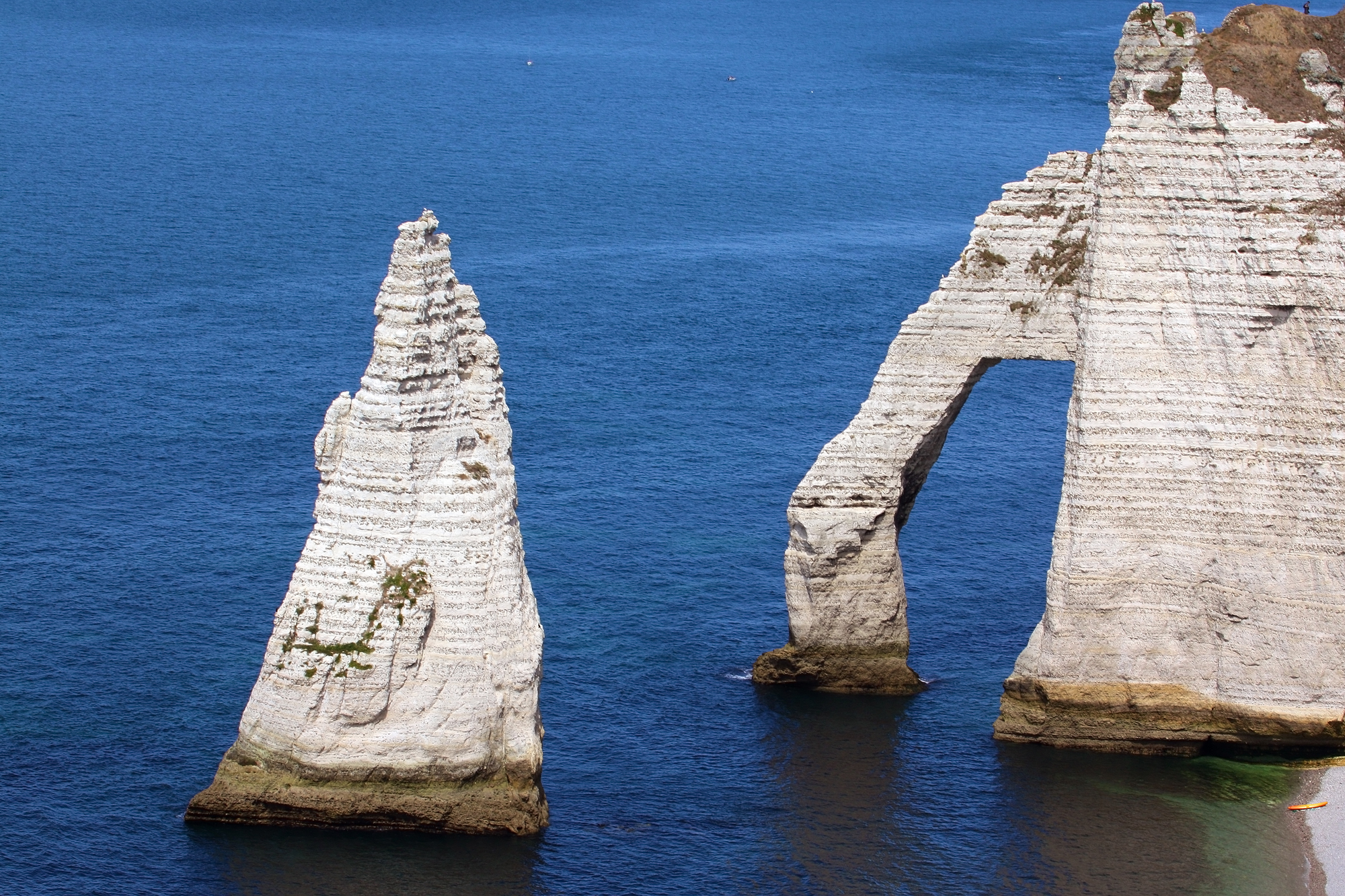 L'elefante che beve nella Manica