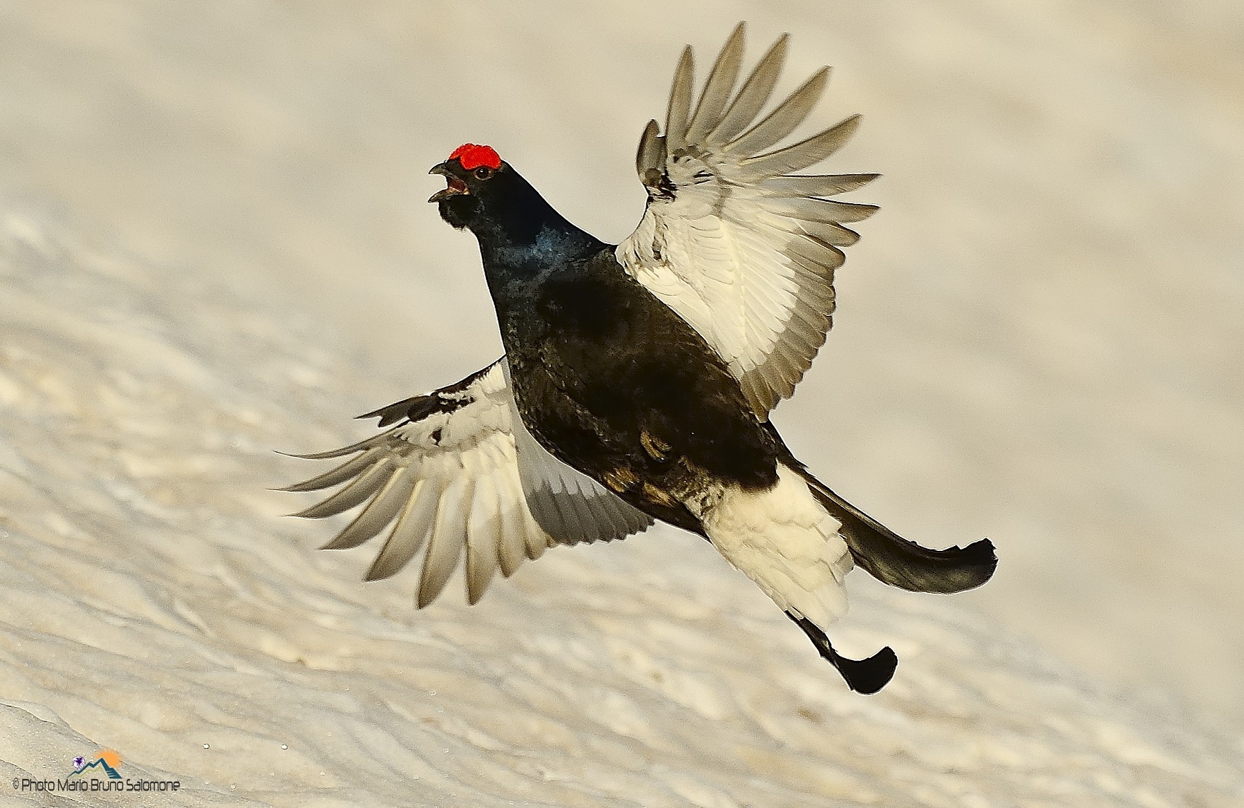 Testosterone al massimo.