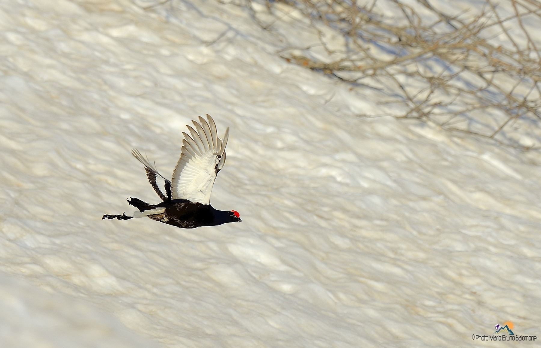 Alla prossima volta.