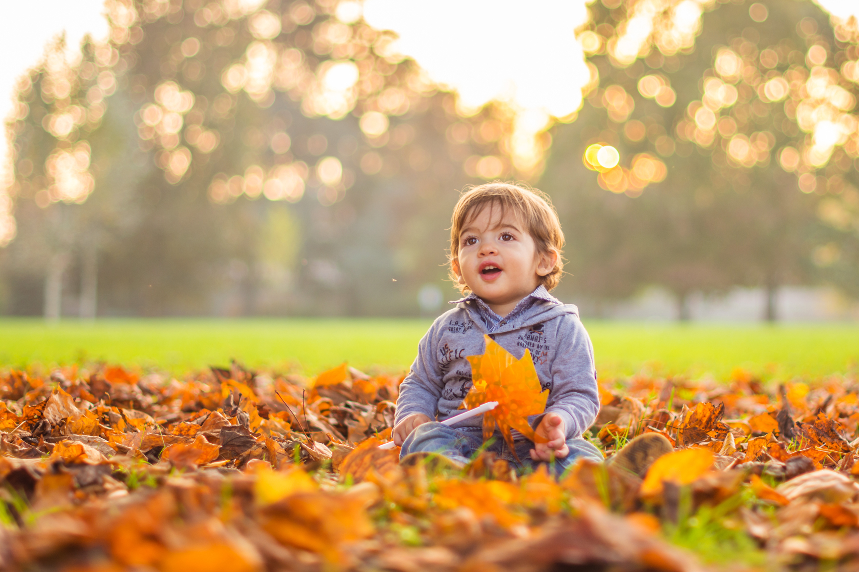 A smile in the leaves