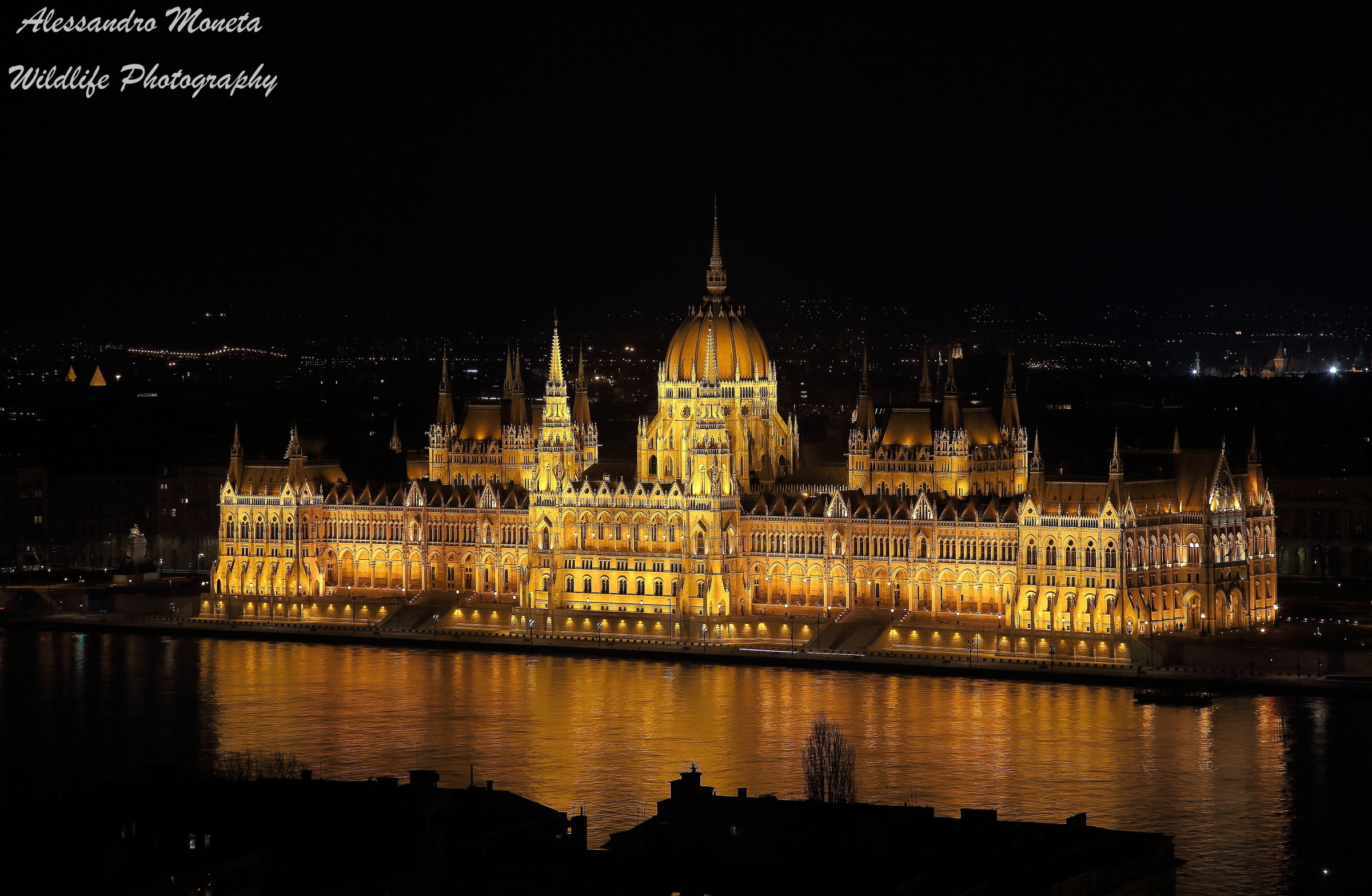 Parliament by night