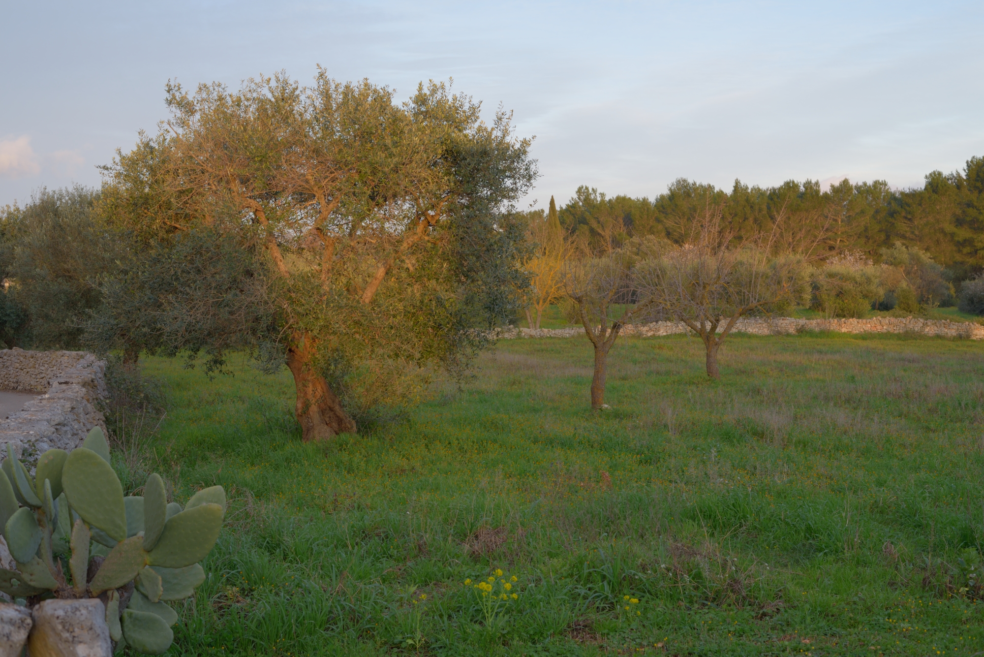 The caress of the Sun