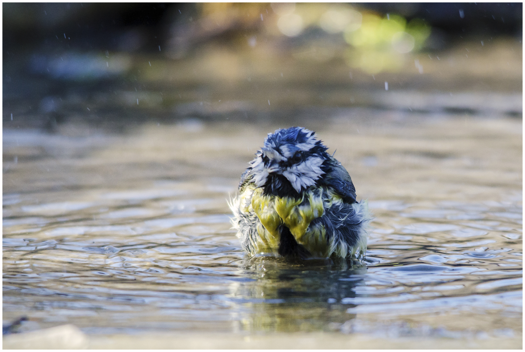 Bagnetto prima di andare a nanna