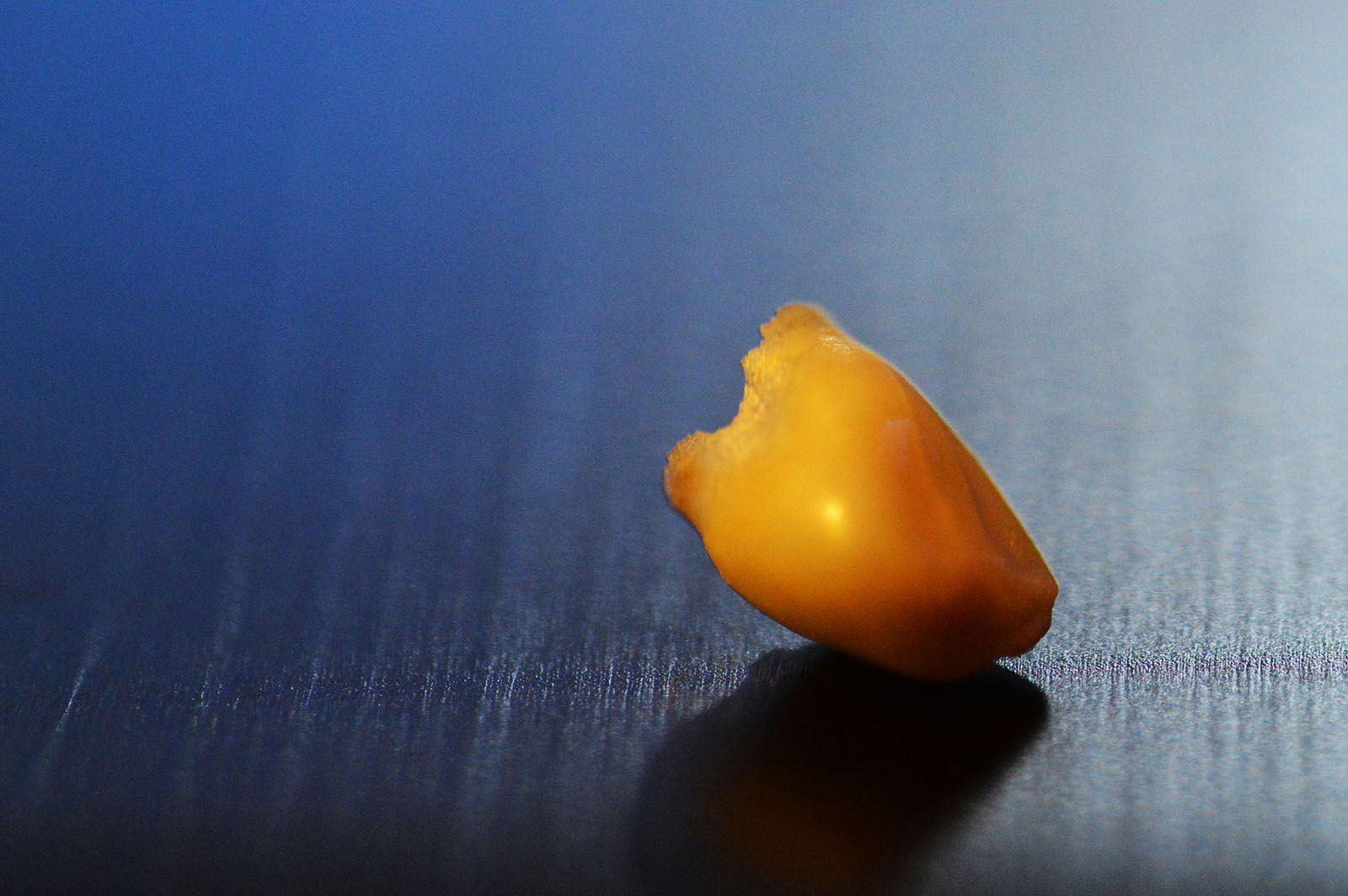 il mio primo dente "PERSO"