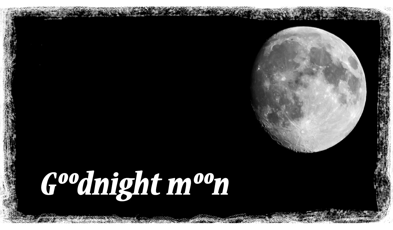 Goodnight Moon!