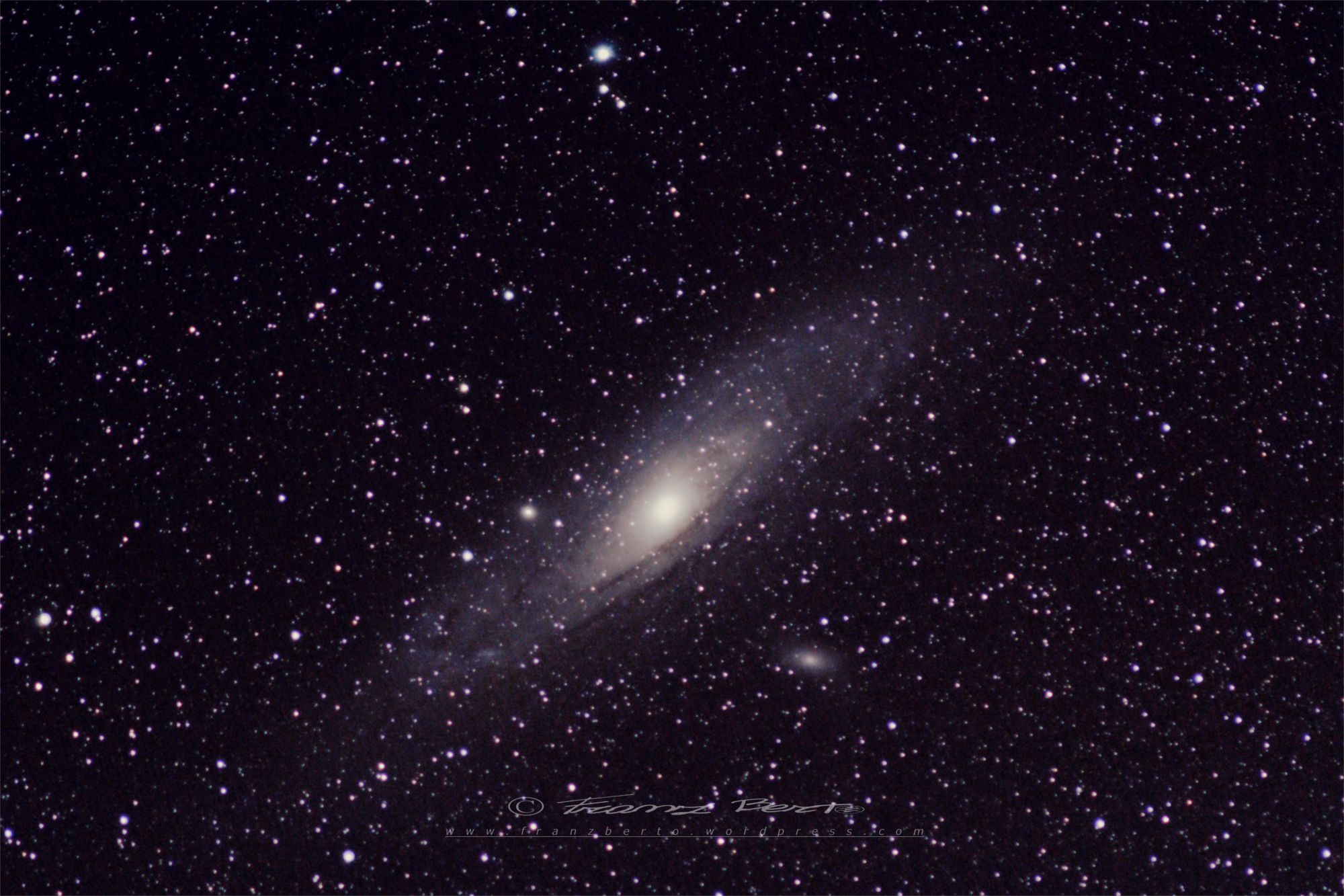 M31