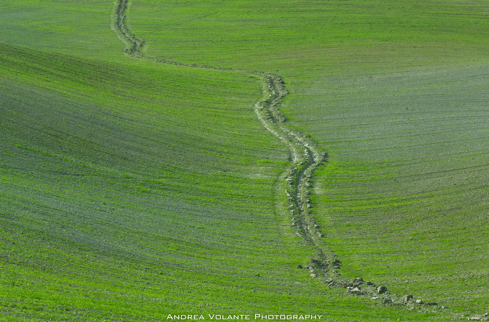 Val d'Orcia ..natural minimal.