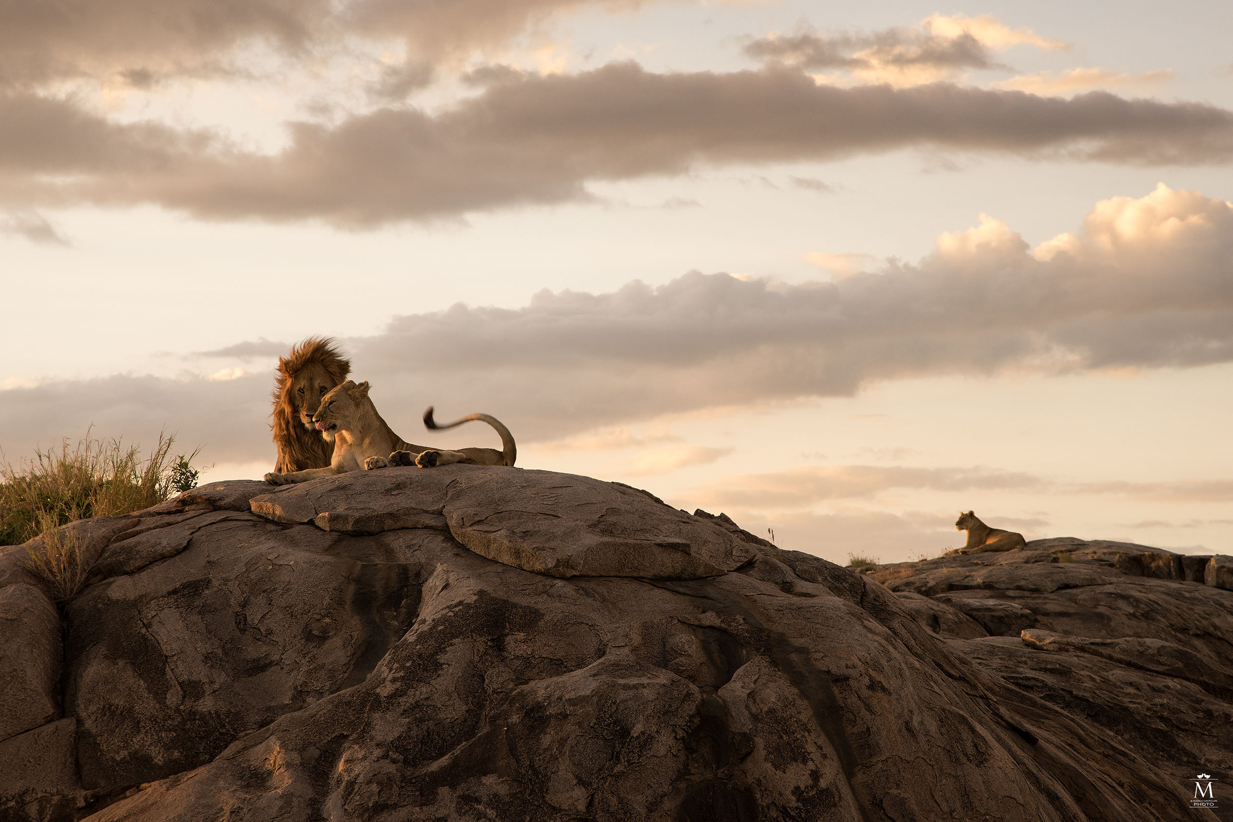 Effusions at sunset.