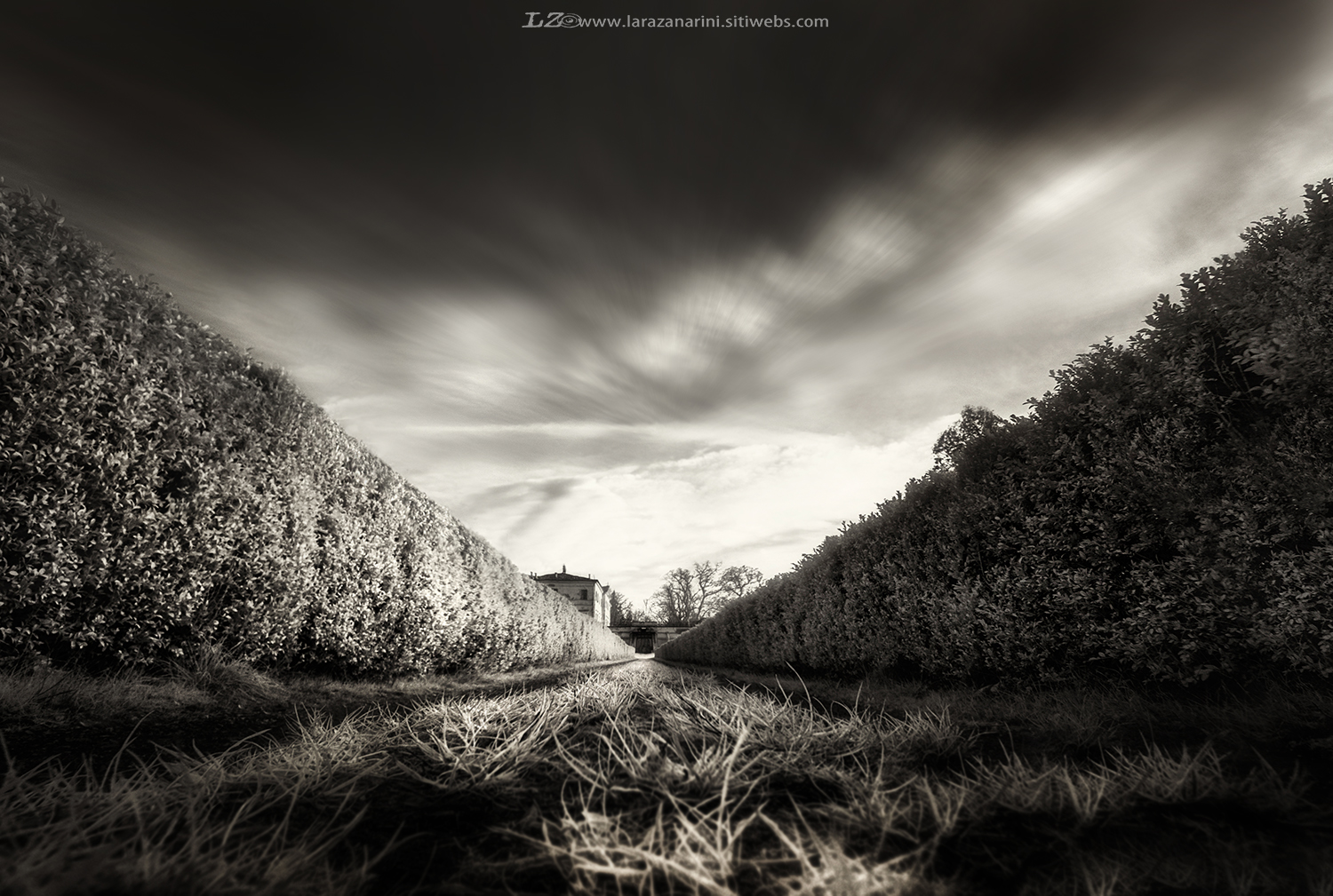 "... J'ai vu le bout du tunnel ..."