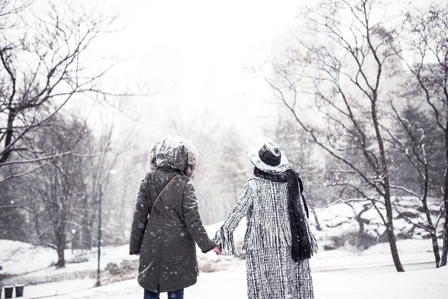 Under the snow in Central Park