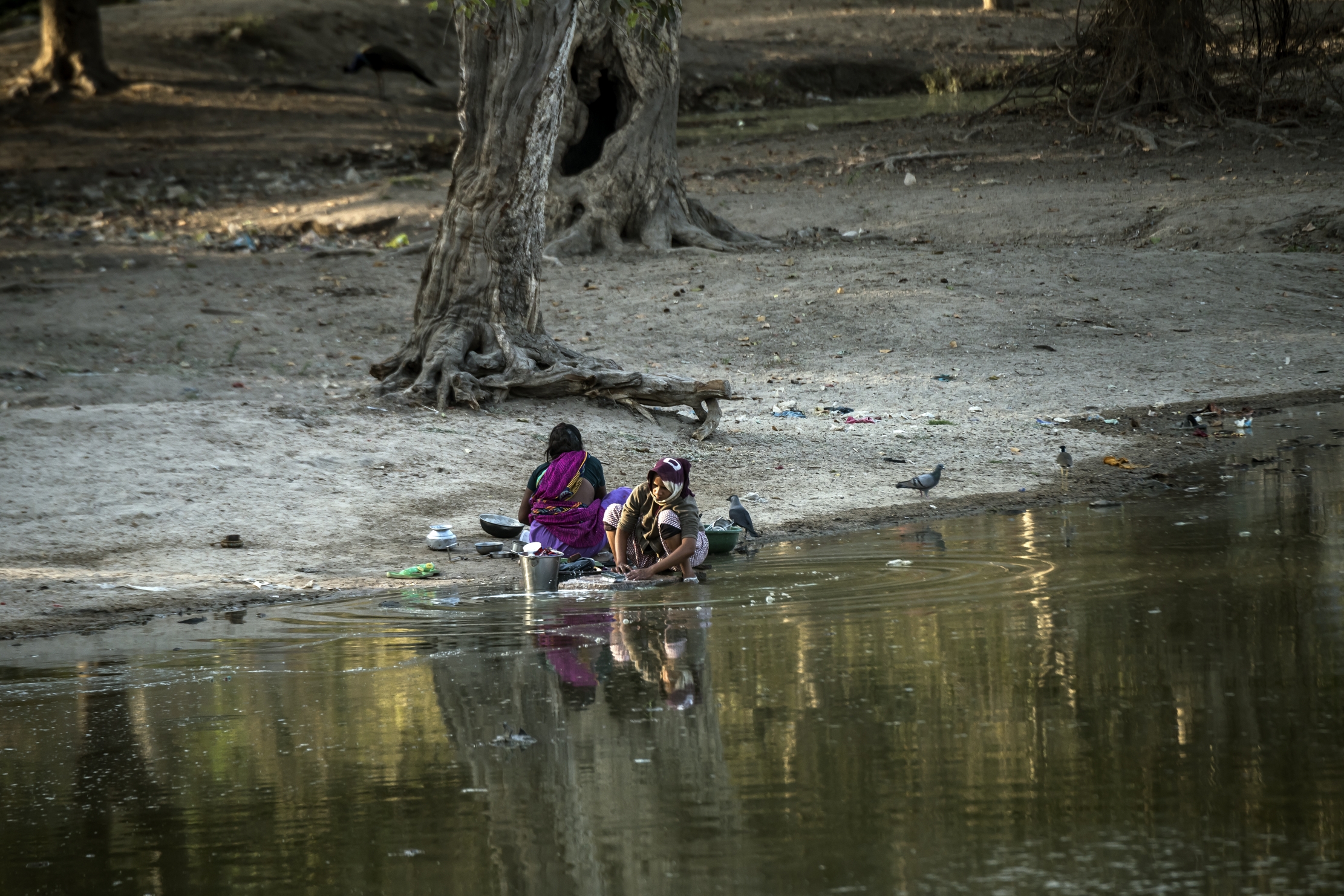 Gujarat 2015 - Lungo un fiume