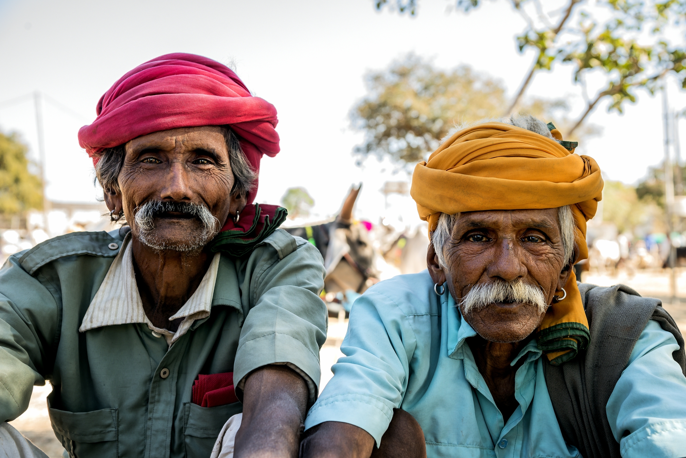 Gujarat 2015 - In un mercato